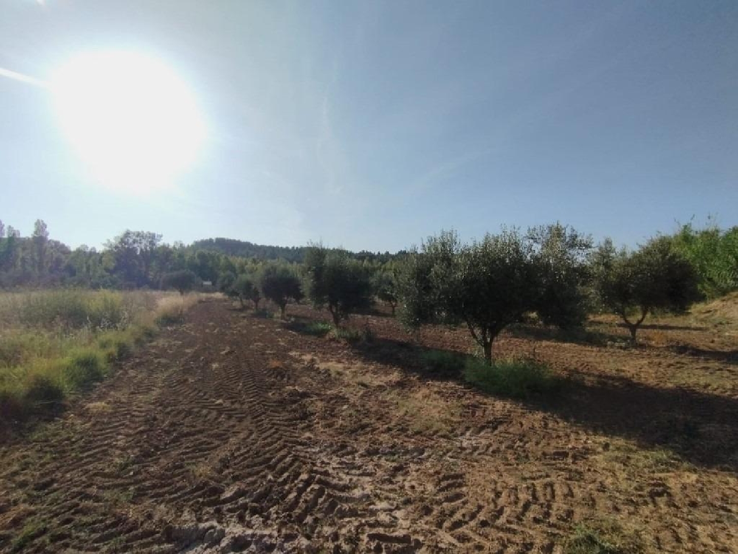  for sale country house Torre Del Compte Matarraña 8