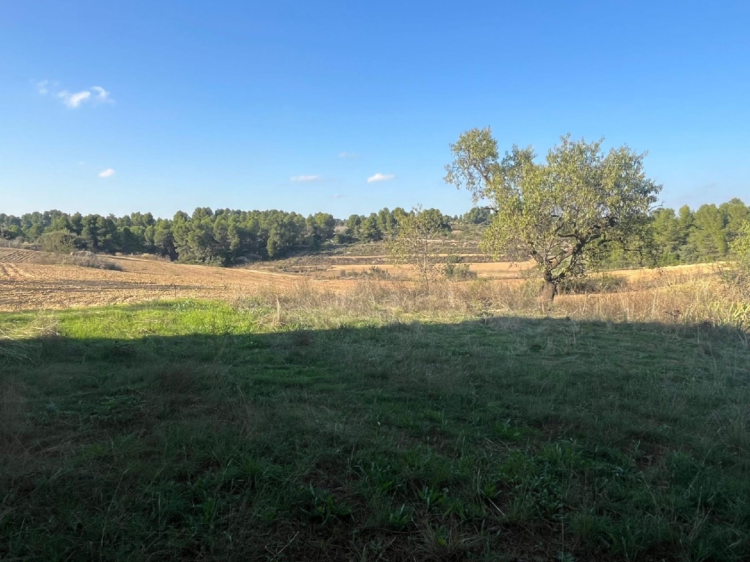  à vendre maison de campagne Torre Del Compte Matarraña 6