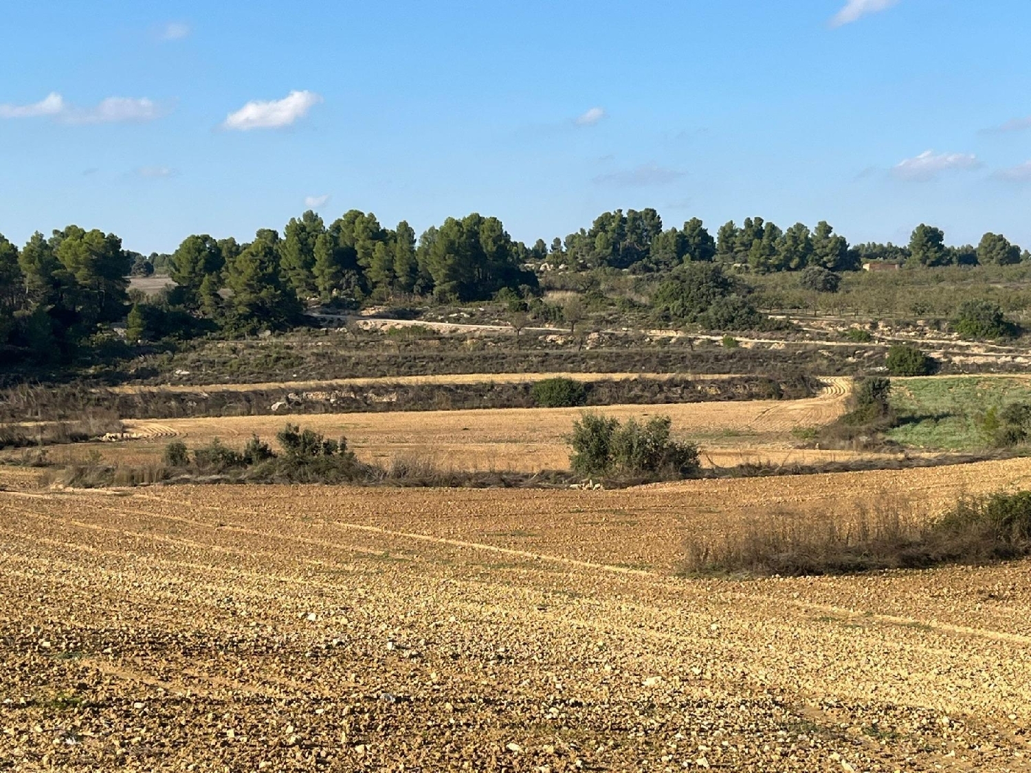  à vendre maison de campagne Torre Del Compte Matarraña 7