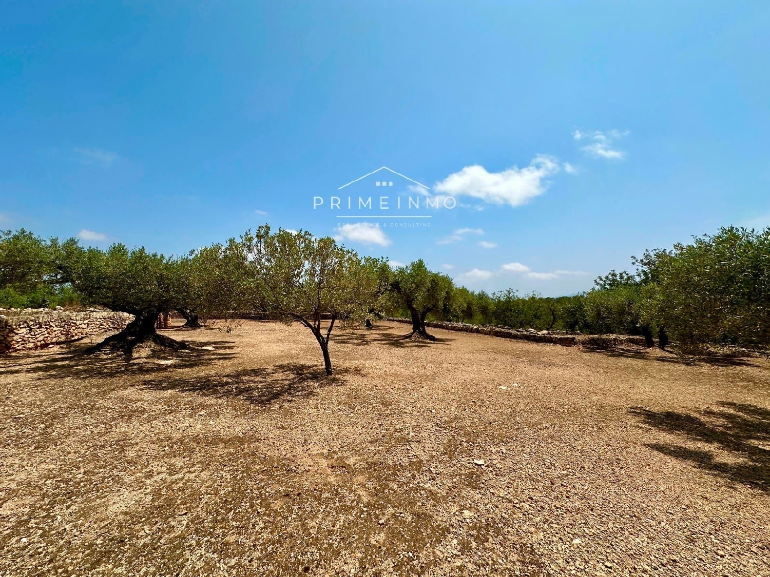  te koop boerderij Tortosa Baix Ebre 63