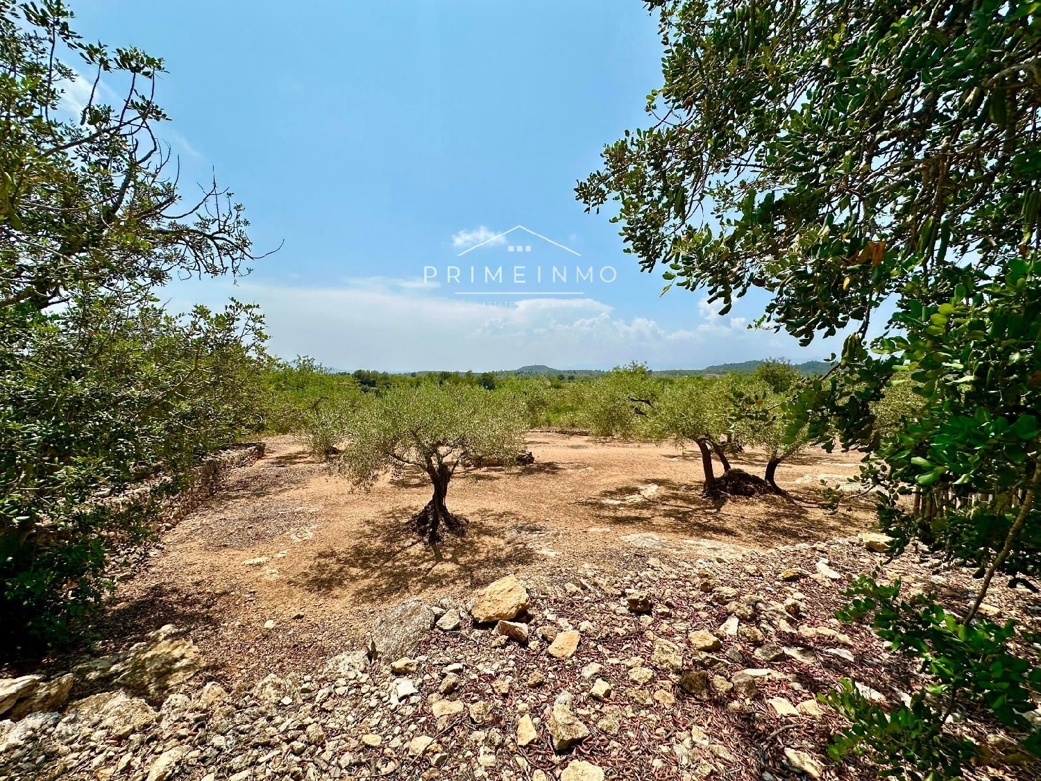  te koop boerderij Tortosa Baix Ebre 66