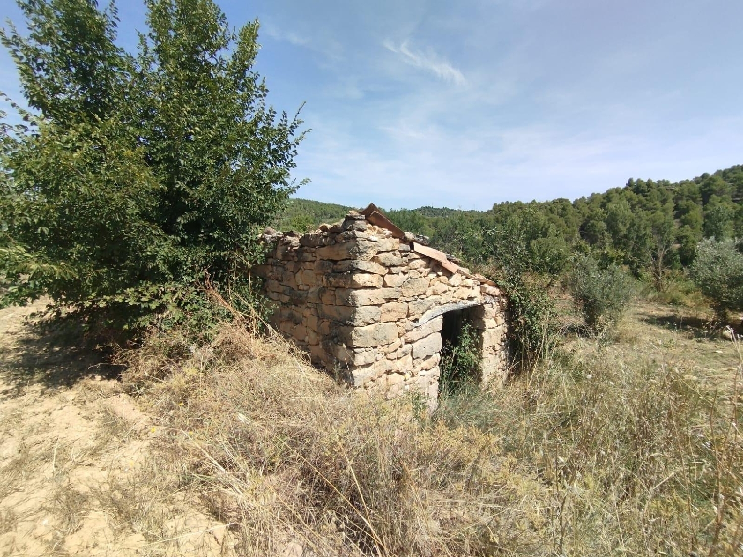 en venta finca rústica Valderrobres Matarraña 1