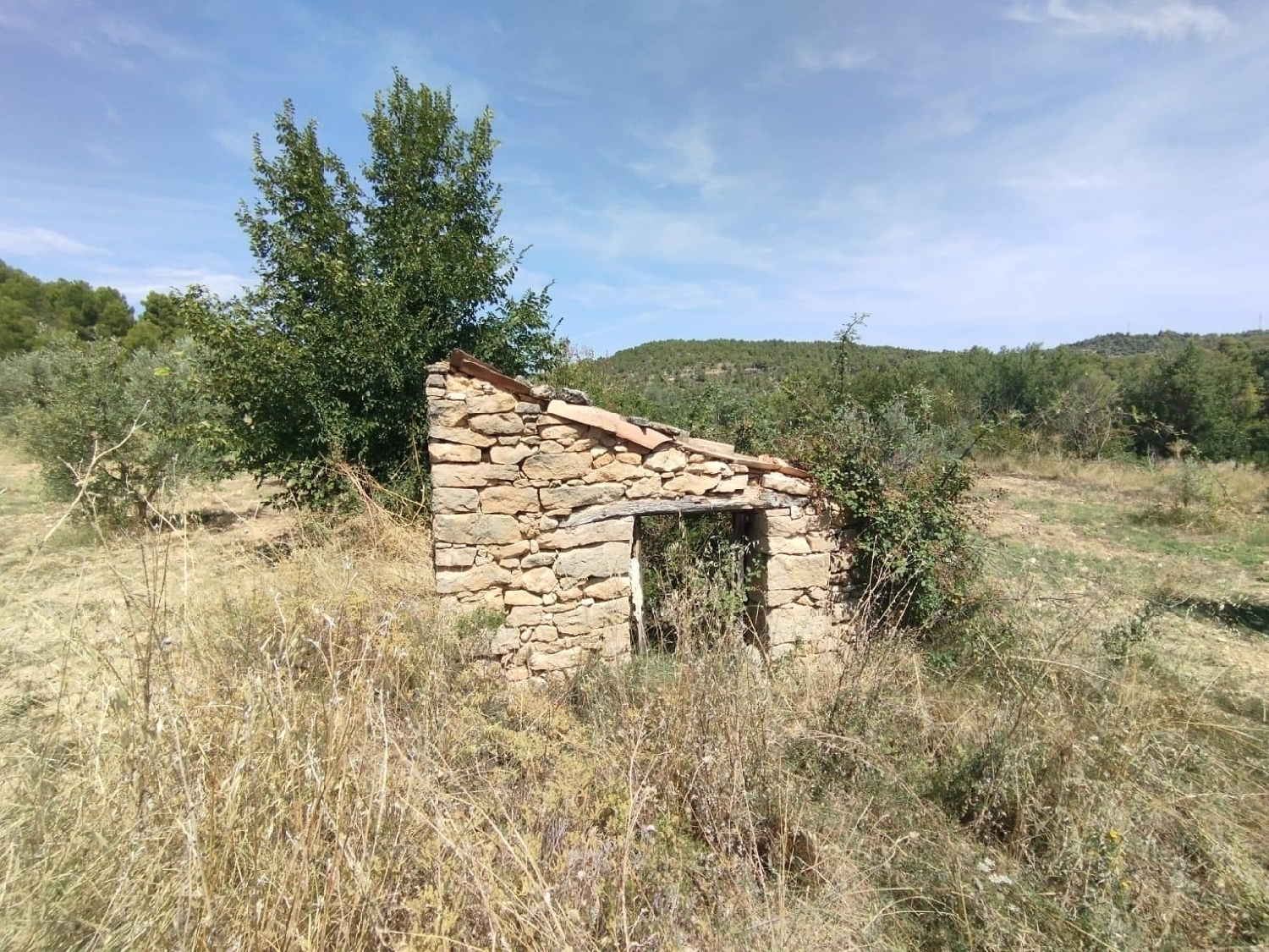 en venta finca rústica Valderrobres Matarraña 2