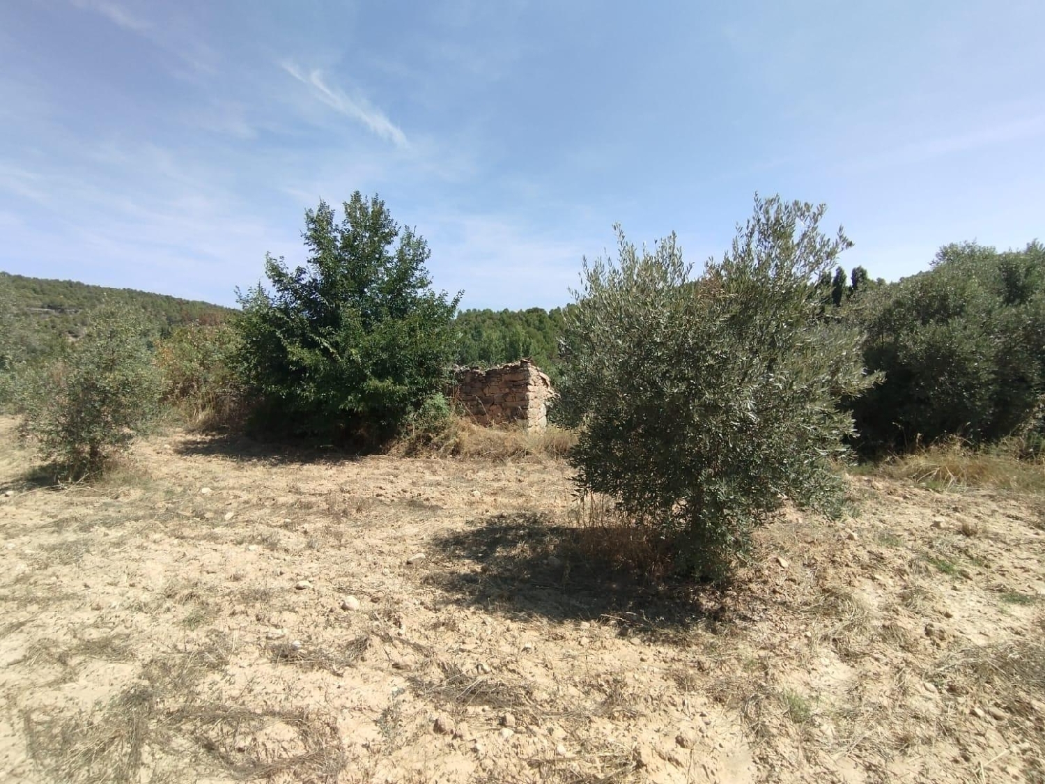 en venta finca rústica Valderrobres Matarraña 5