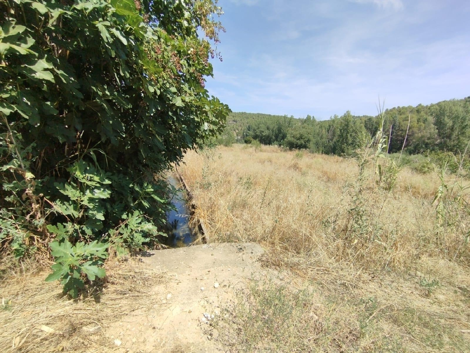 en venta finca rústica Valderrobres Matarraña 8