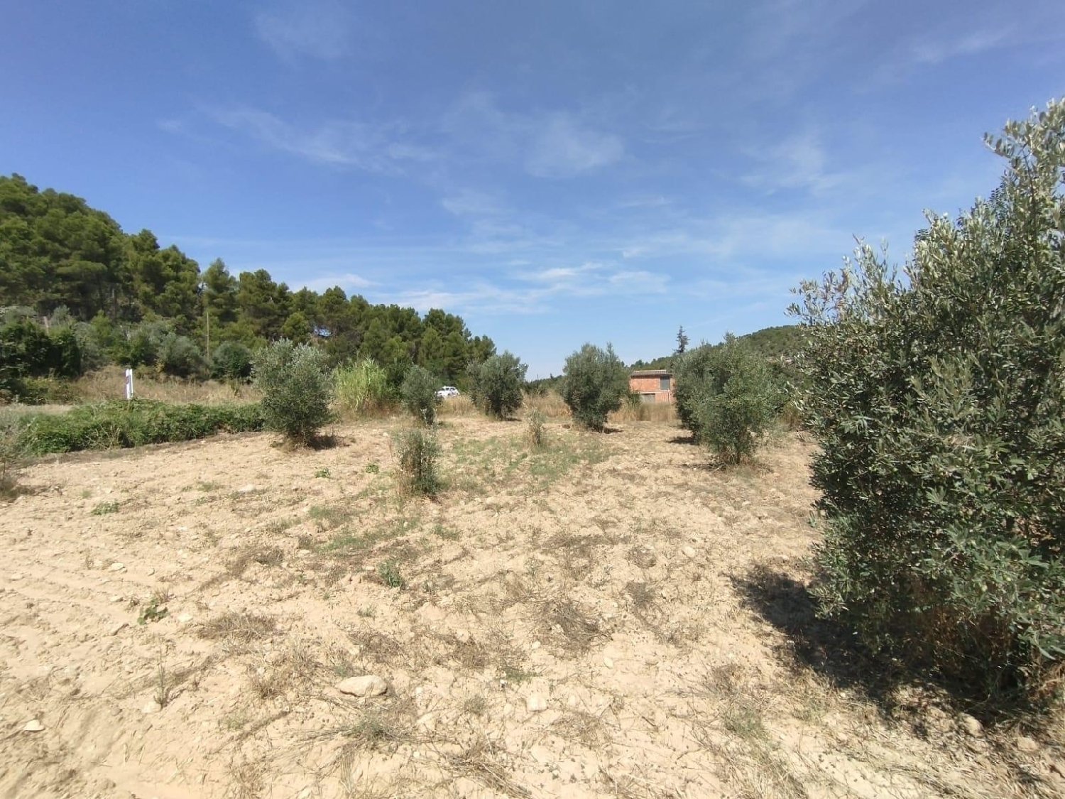 en venta finca rústica Valderrobres Matarraña 4