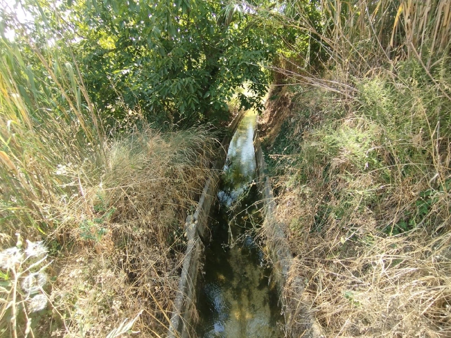 en venta finca rústica Valderrobres Matarraña 6