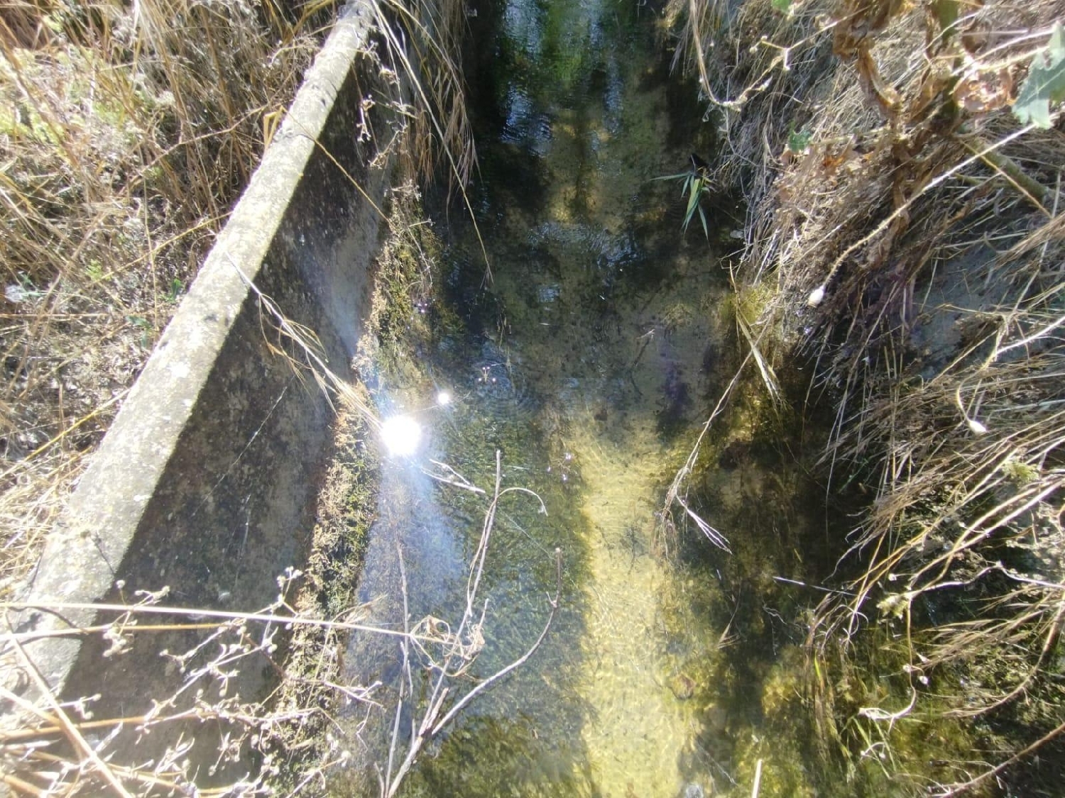 en venta finca rústica Valderrobres Matarraña 7