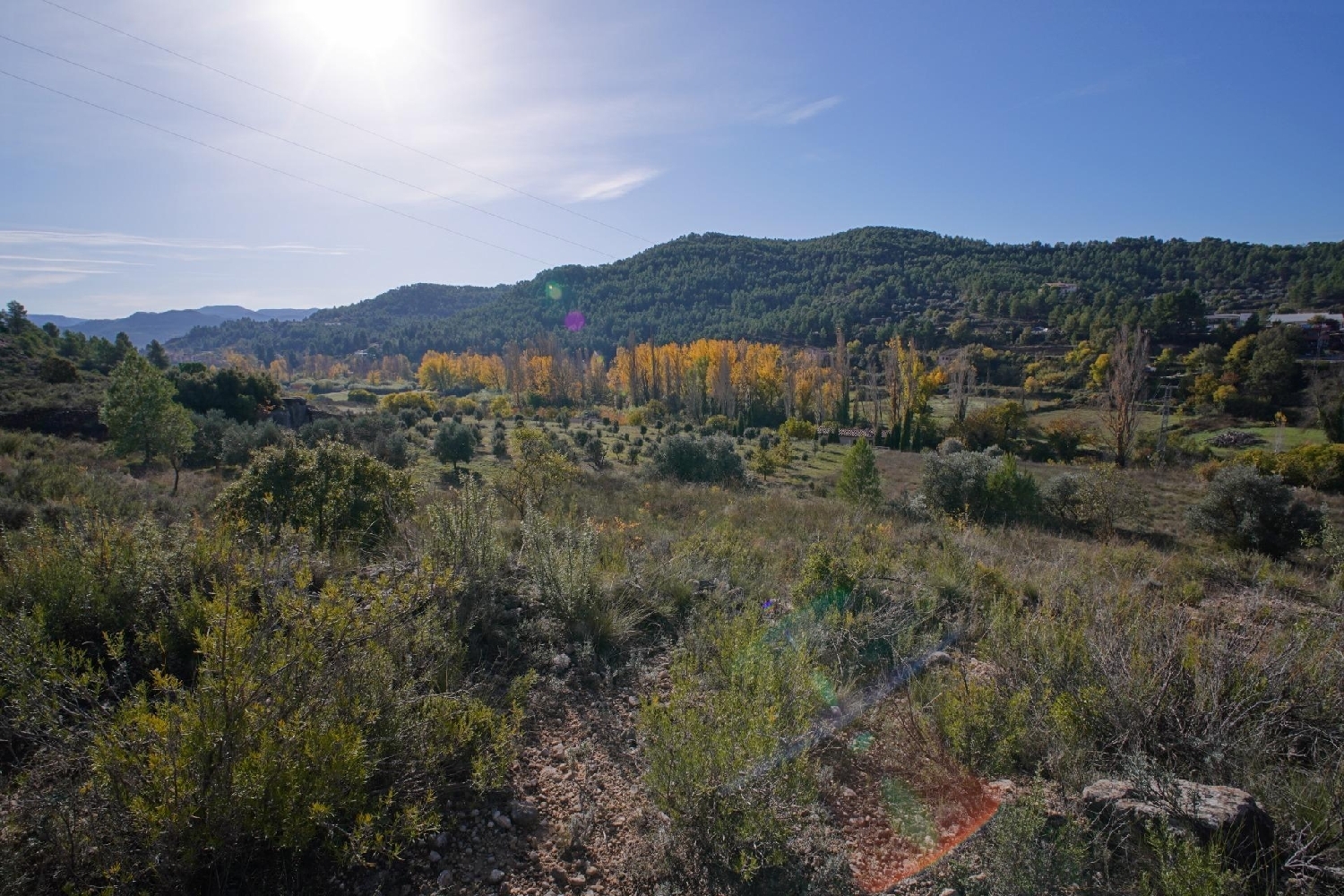 en venta finca rústica Valderrobres Matarraña 5