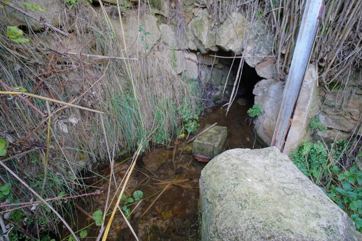 en venta finca rústica Valderrobres Matarraña 6