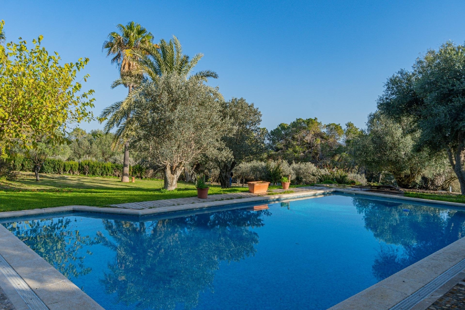  en venta finca rústica Vilafranca De Bonany Pla (Es) 3