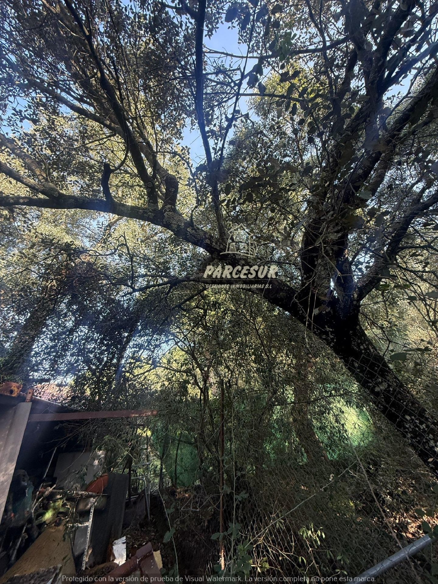  kaufen Landhaus Villafranca De Córdoba Alto Guadalquivir 8