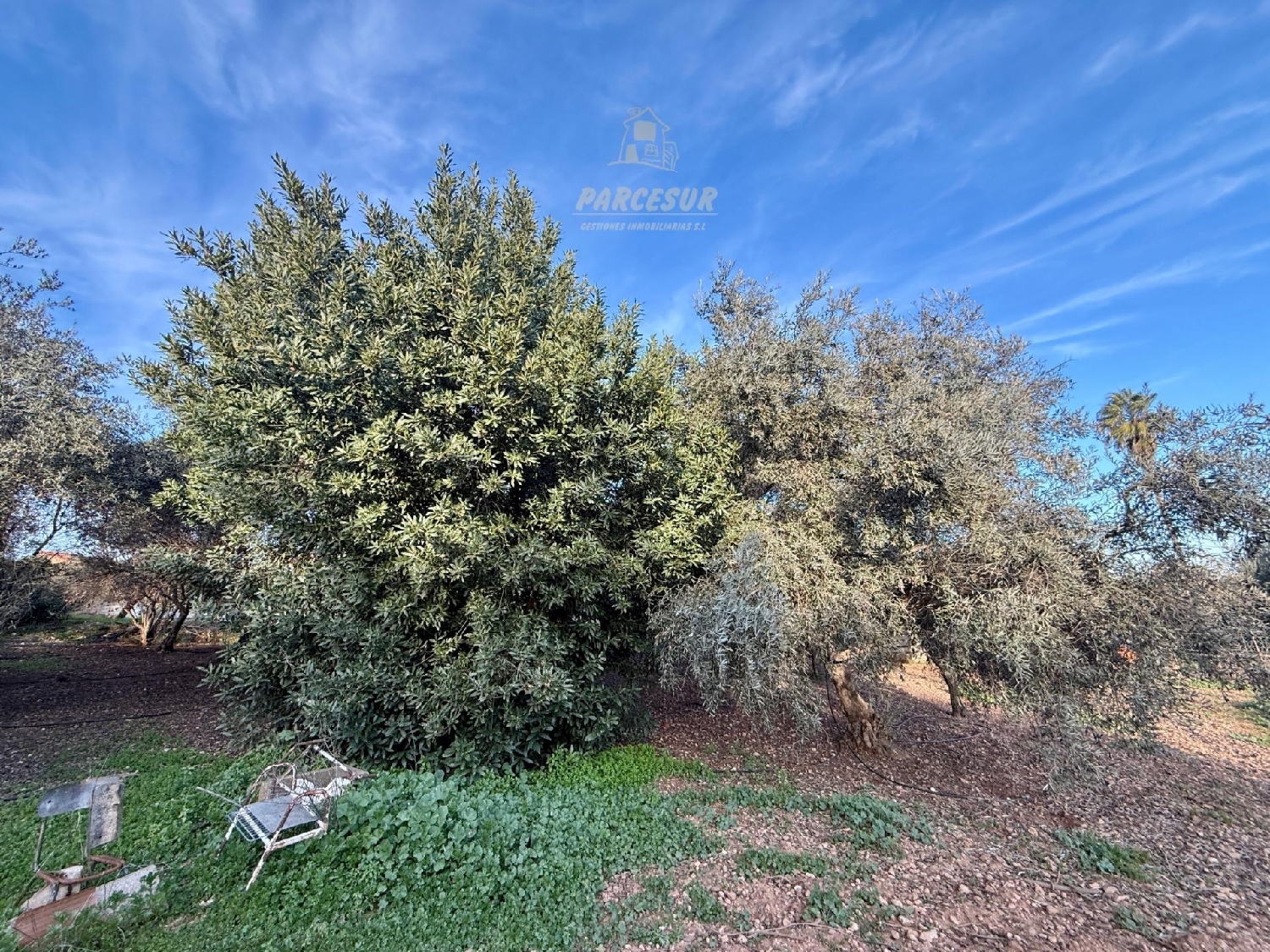  kaufen Landhaus Villafranca De Córdoba Alto Guadalquivir 3