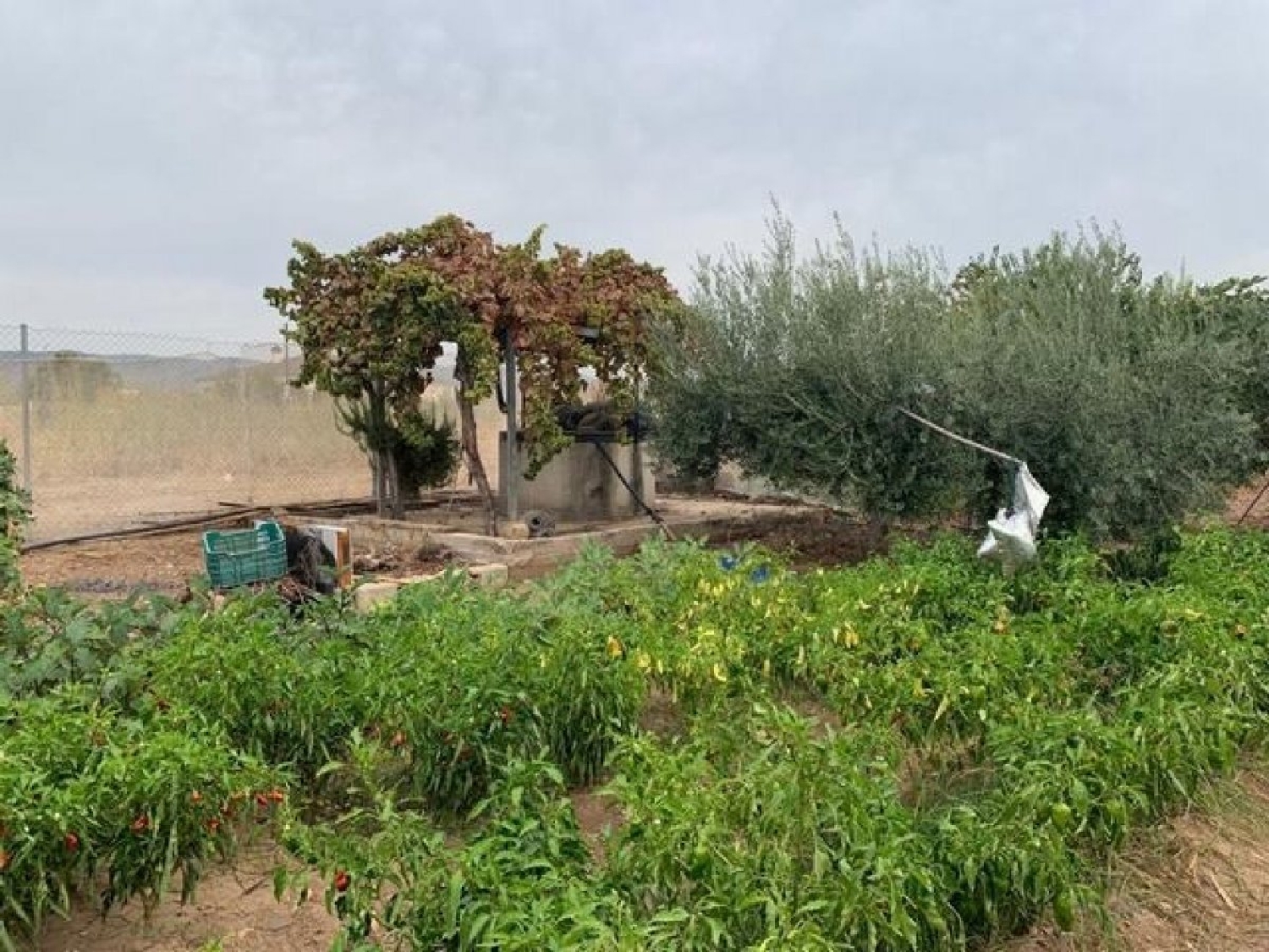  for sale country house Villafranca De Córdoba Alto Guadalquivir 6