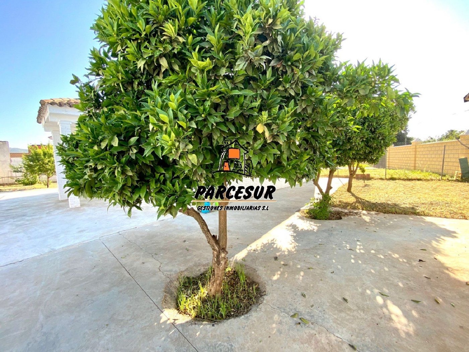  for sale country house Villafranca De Córdoba Alto Guadalquivir 7