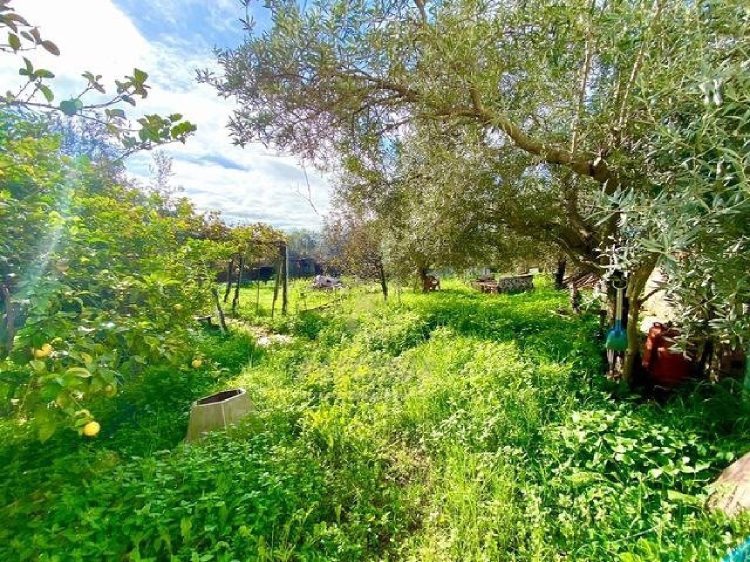  for sale country house Villafranca De Córdoba Alto Guadalquivir 3