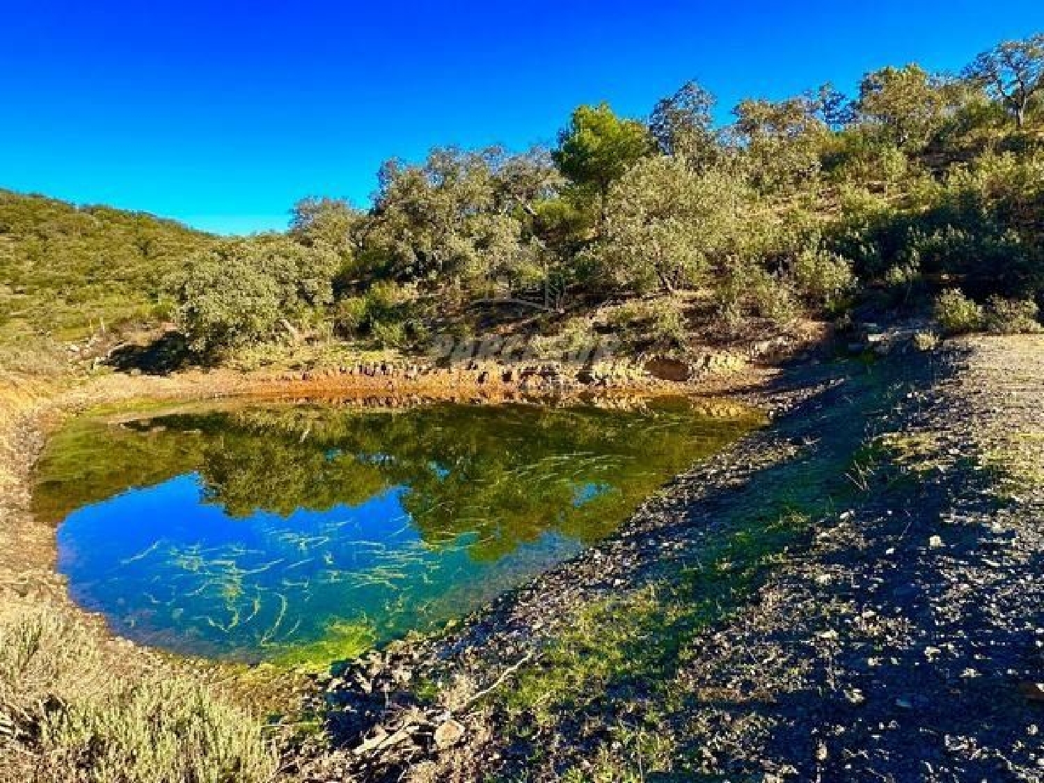  for sale country house Villafranca De Córdoba Alto Guadalquivir 1