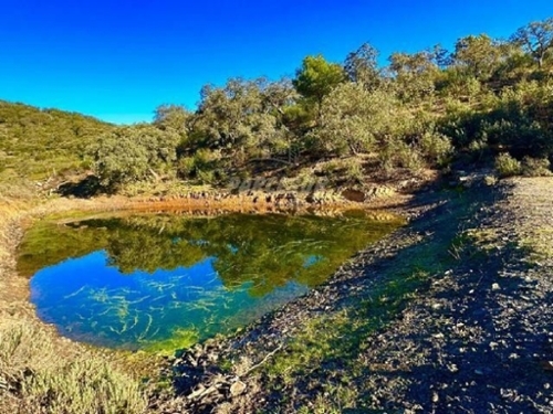 Villafranca De Córdoba Alto Guadalquivir country house foto 6341674