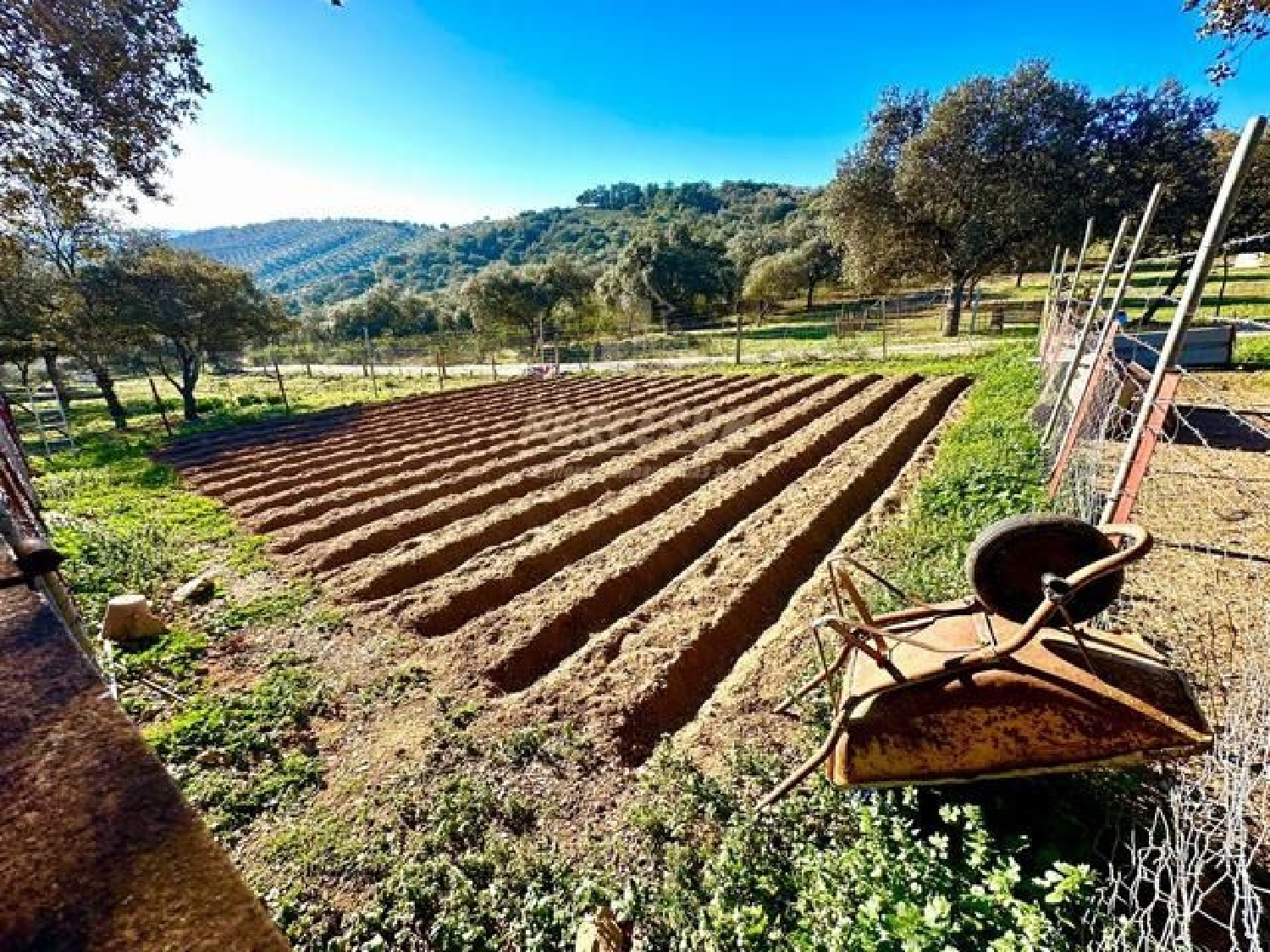  for sale country house Villafranca De Córdoba Alto Guadalquivir 4