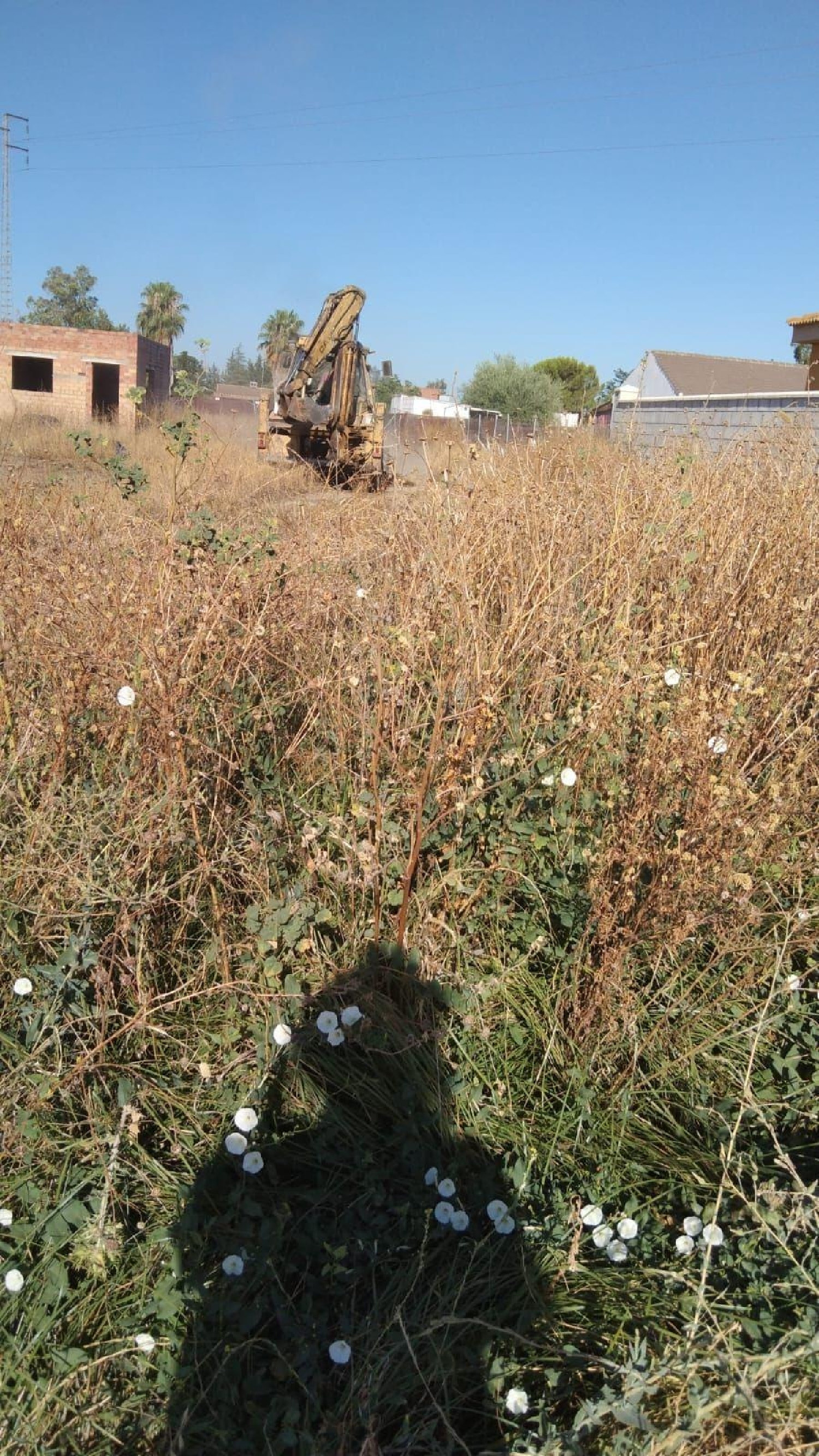 for sale country house Villafranca De Córdoba Alto Guadalquivir 4