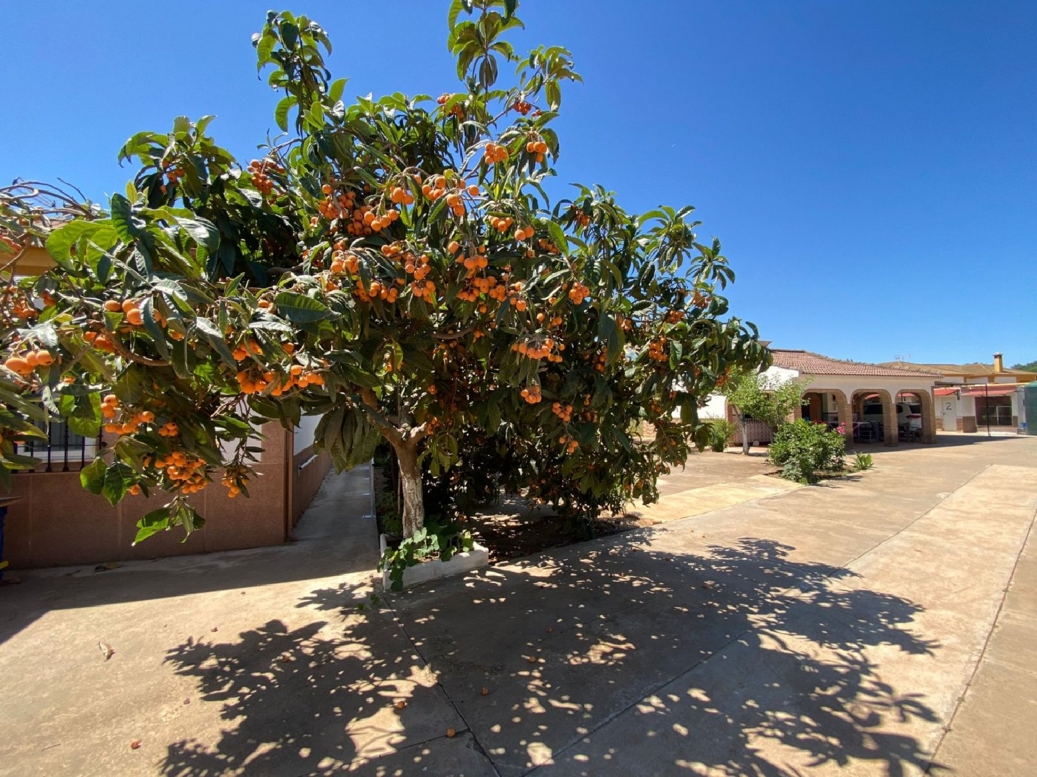  for sale country house Villafranca De Córdoba Alto Guadalquivir 3