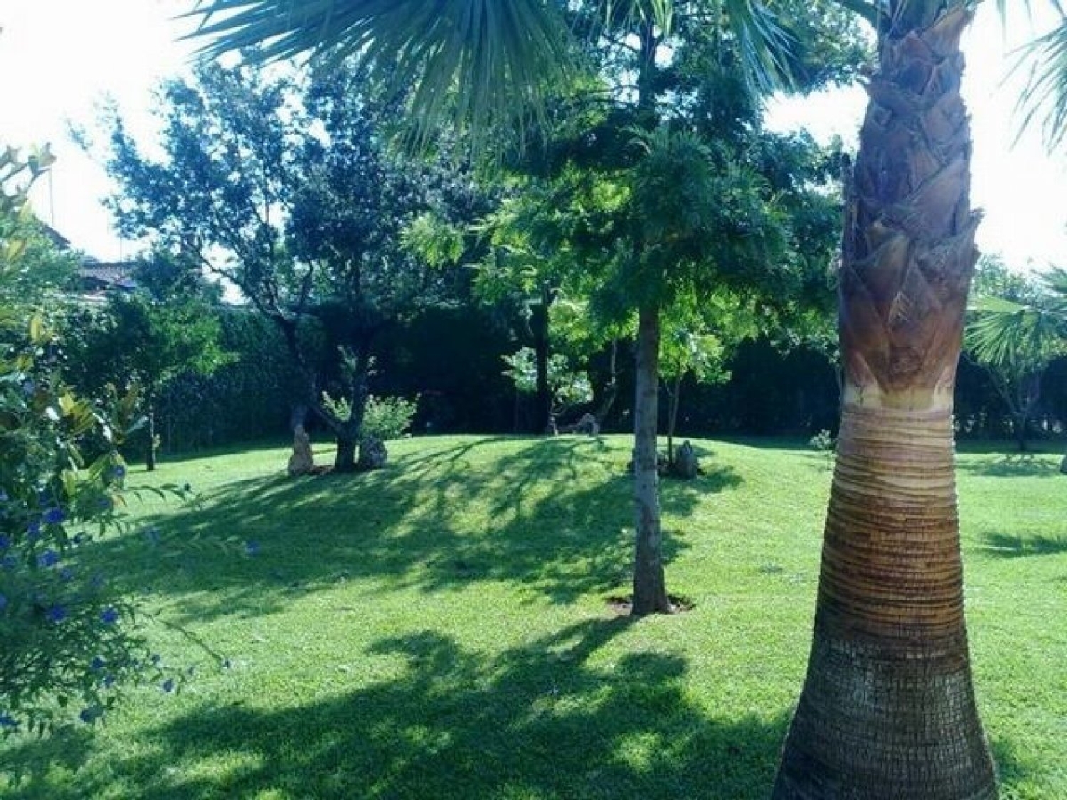  for sale country house Villafranca De Córdoba Alto Guadalquivir 8