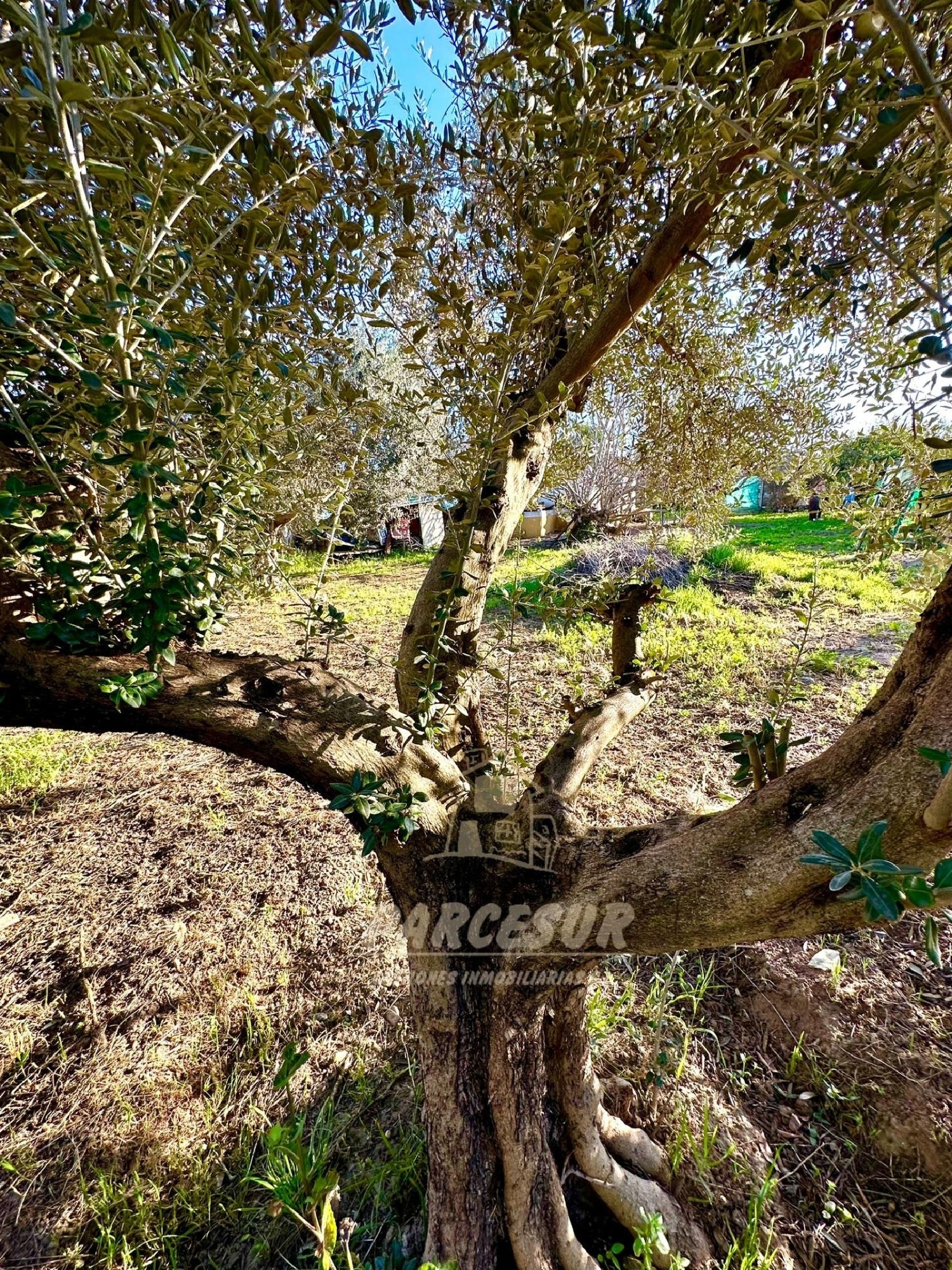  for sale country house Villafranca De Córdoba Alto Guadalquivir 5