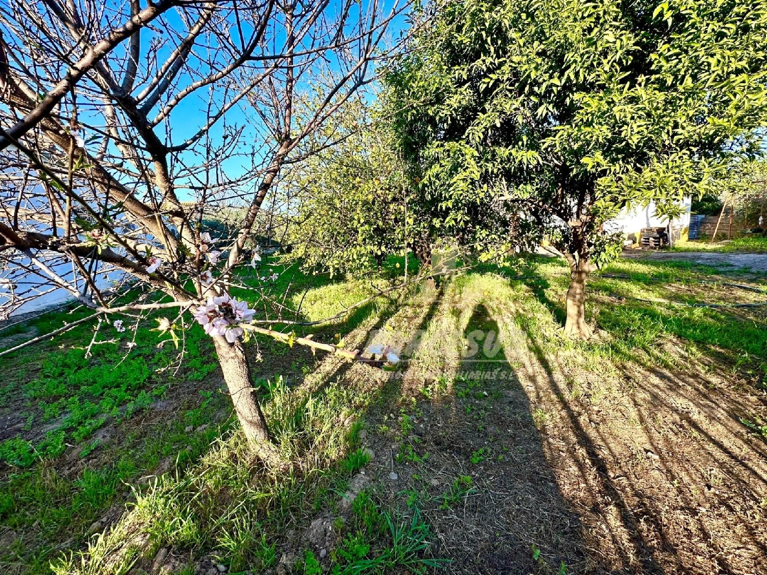  for sale country house Villafranca De Córdoba Alto Guadalquivir 7