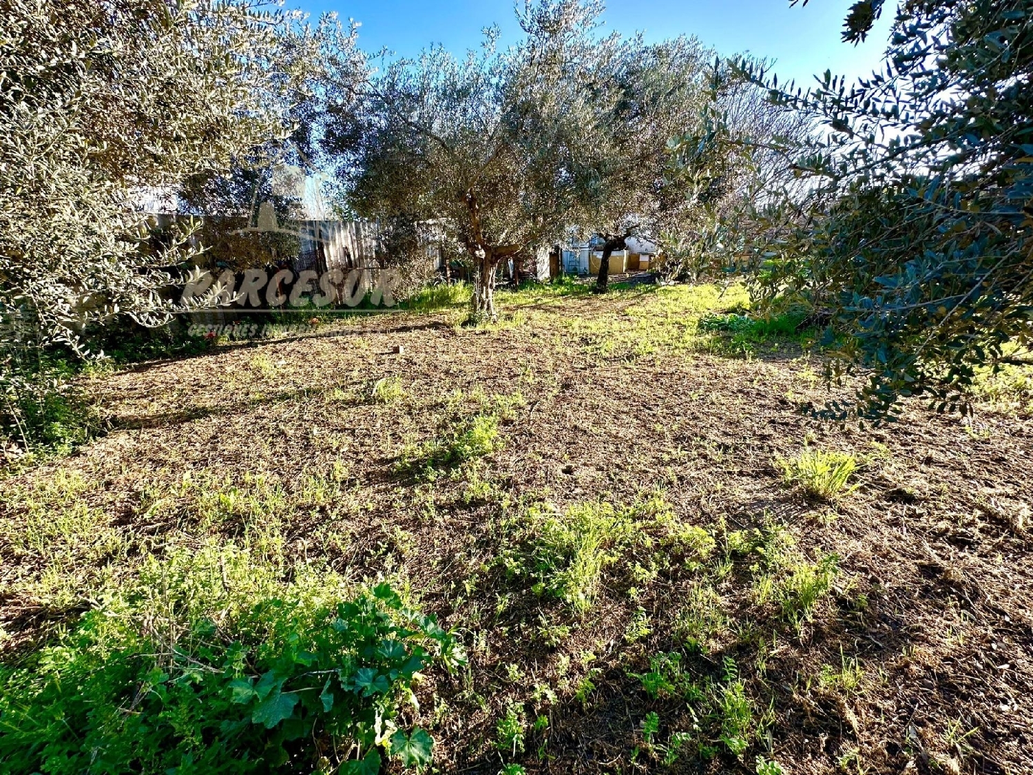  for sale country house Villafranca De Córdoba Alto Guadalquivir 3