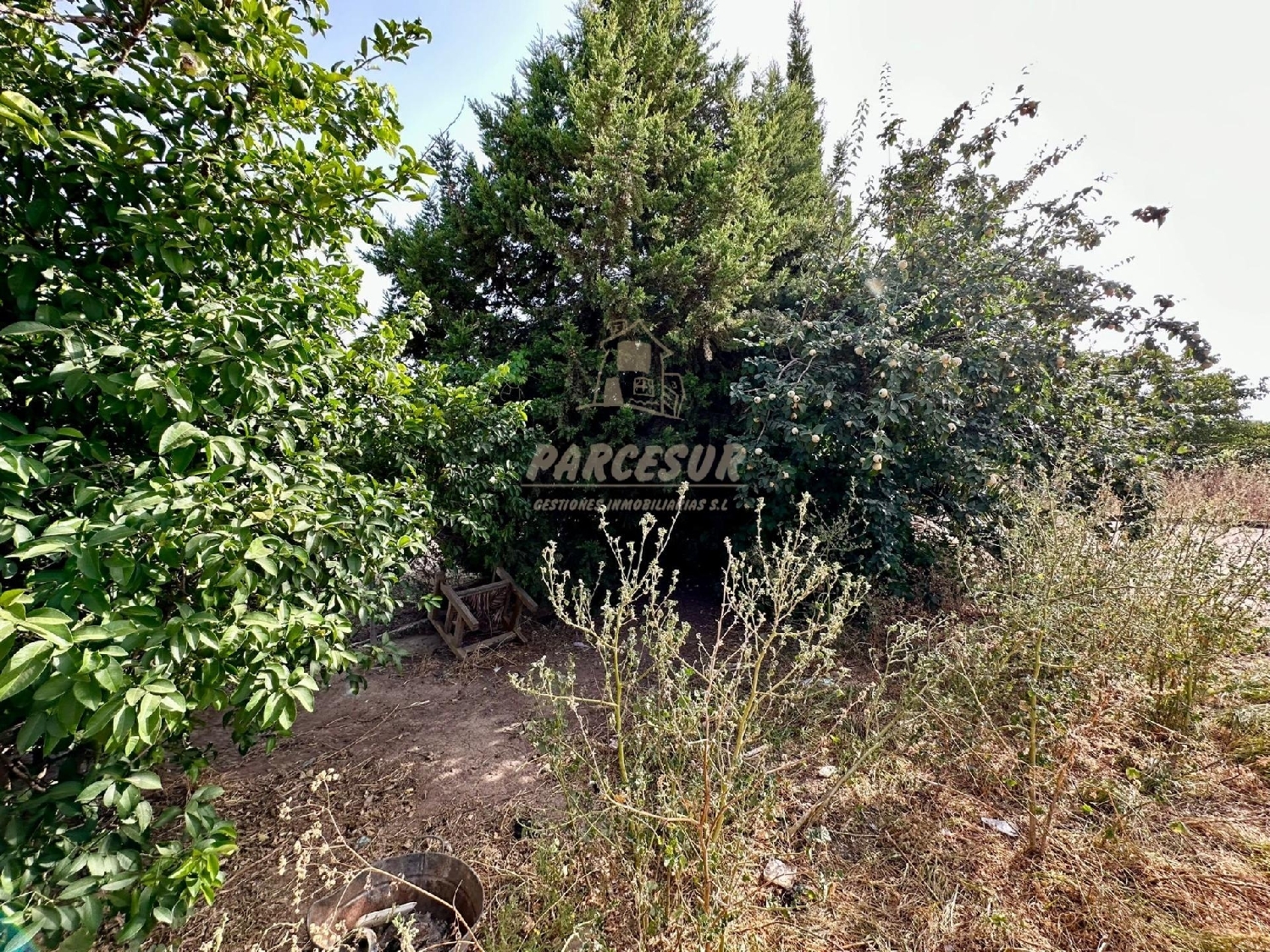  for sale country house Villafranca De Córdoba Alto Guadalquivir 6