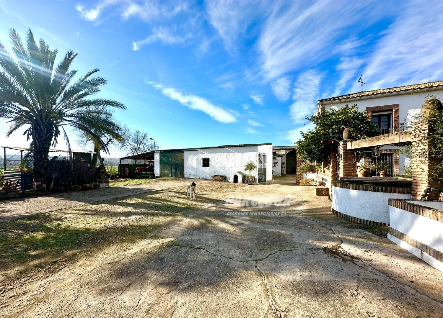  for sale country house Villafranca De Córdoba Alto Guadalquivir 6