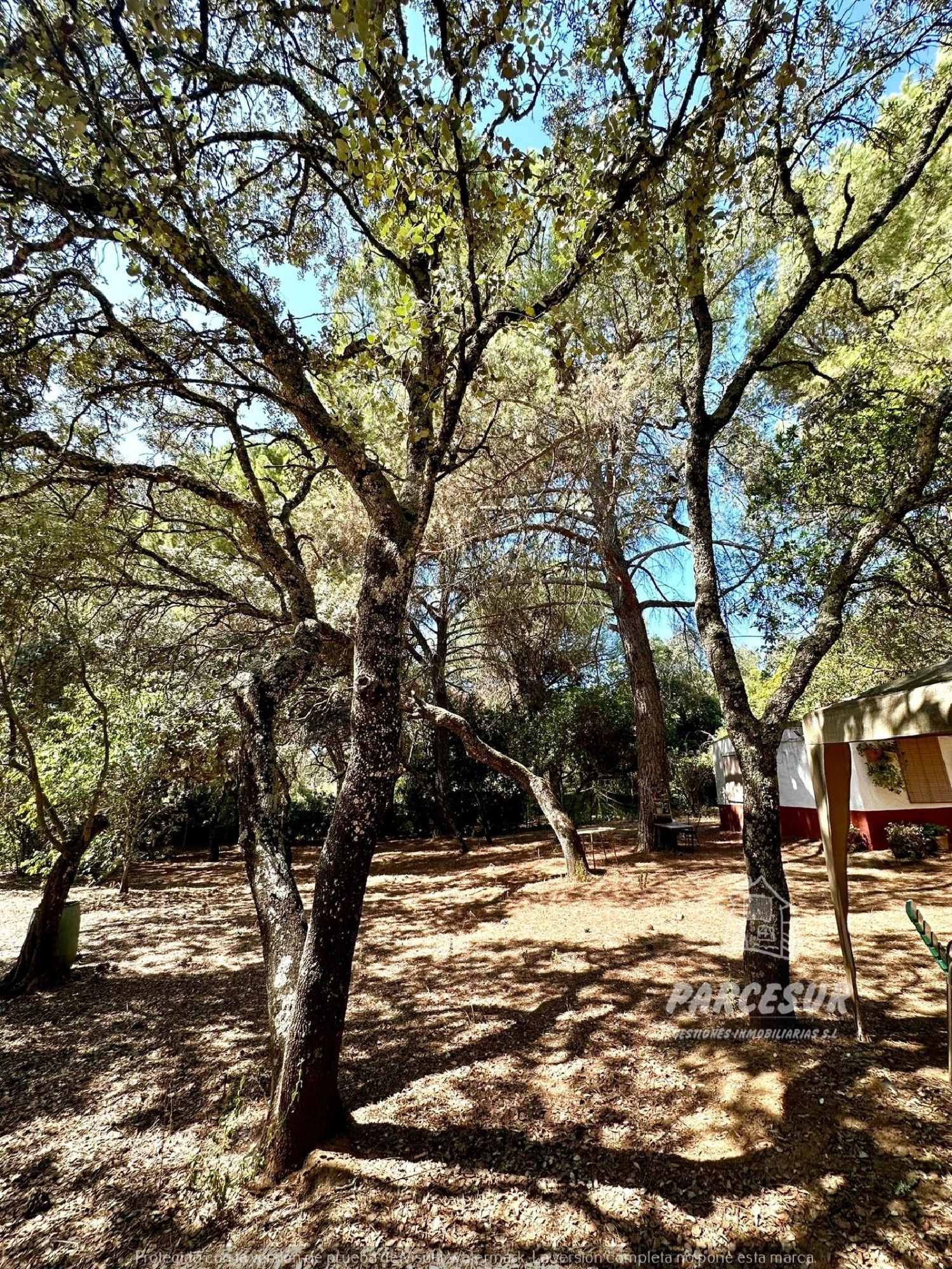 till salu hus på landet Villafranca De Córdoba Alto Guadalquivir 6