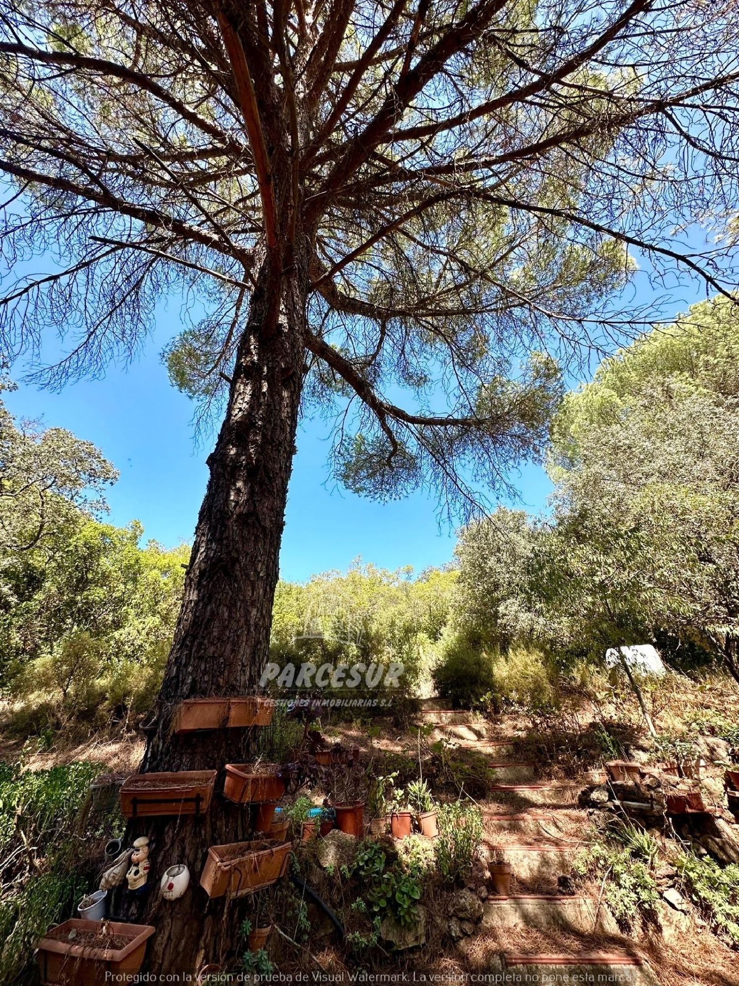 till salu hus på landet Villafranca De Córdoba Alto Guadalquivir 8