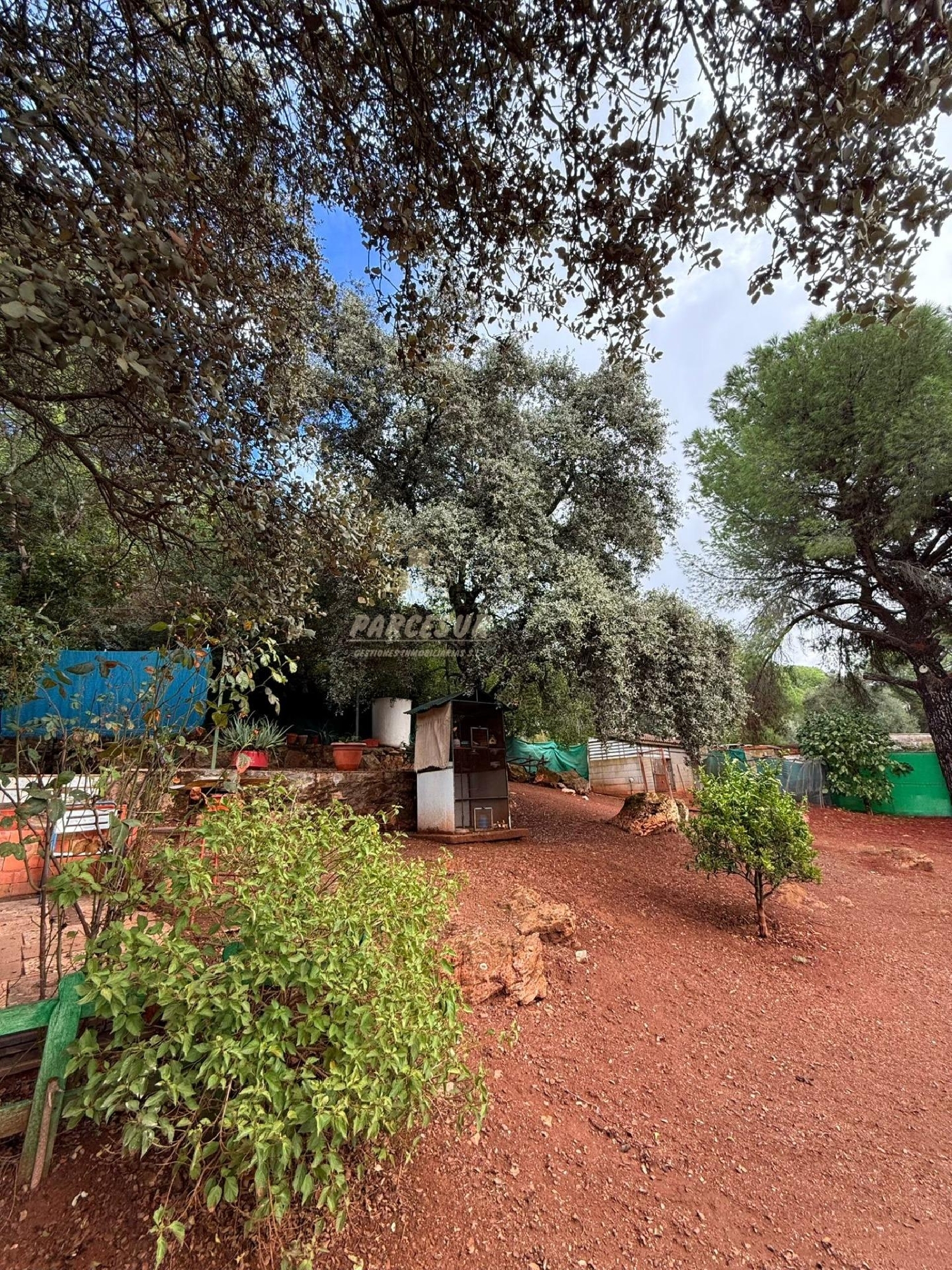  till salu hus på landet Villafranca De Córdoba Alto Guadalquivir 5