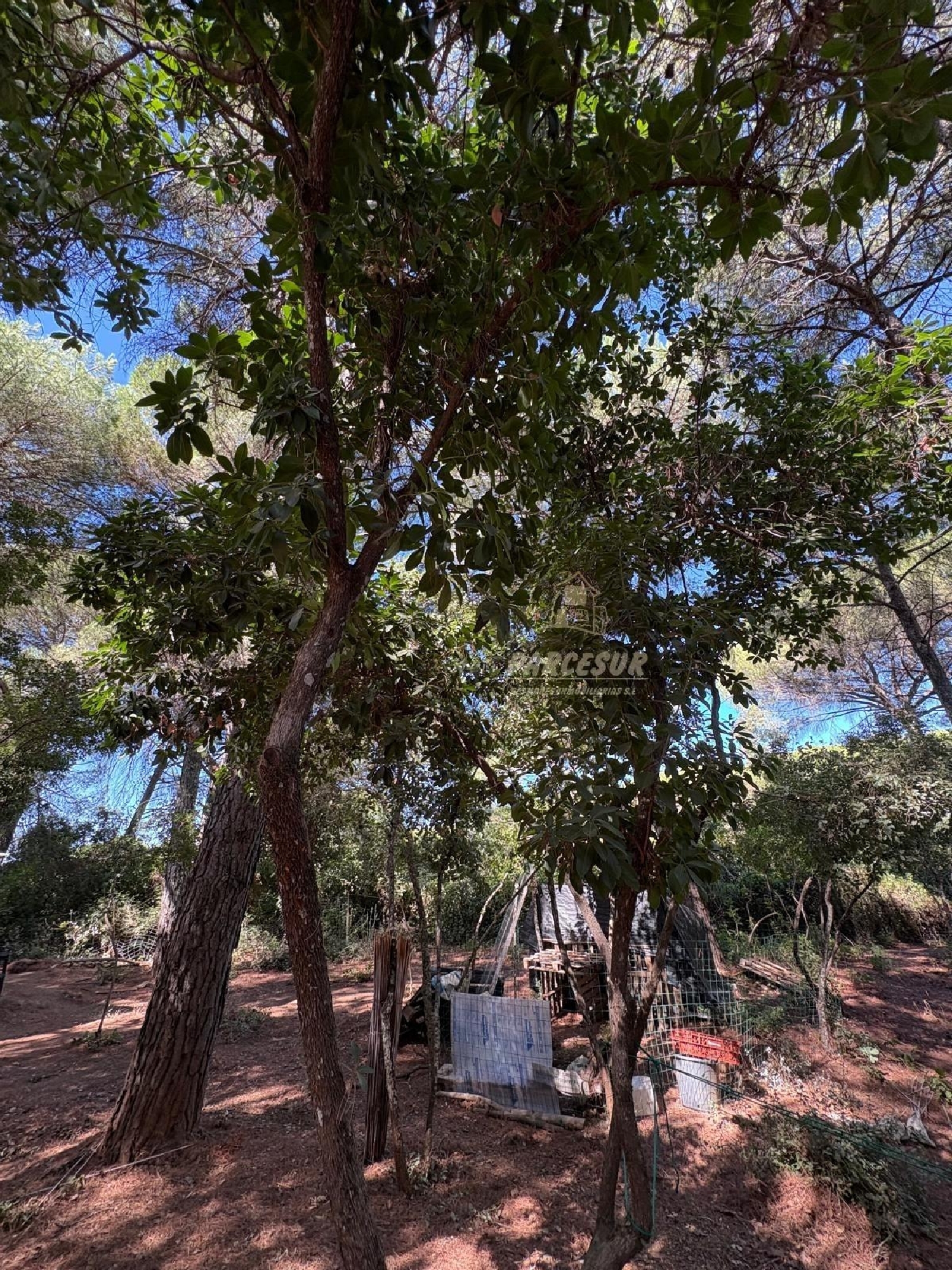  till salu hus på landet Villafranca De Córdoba Alto Guadalquivir 5