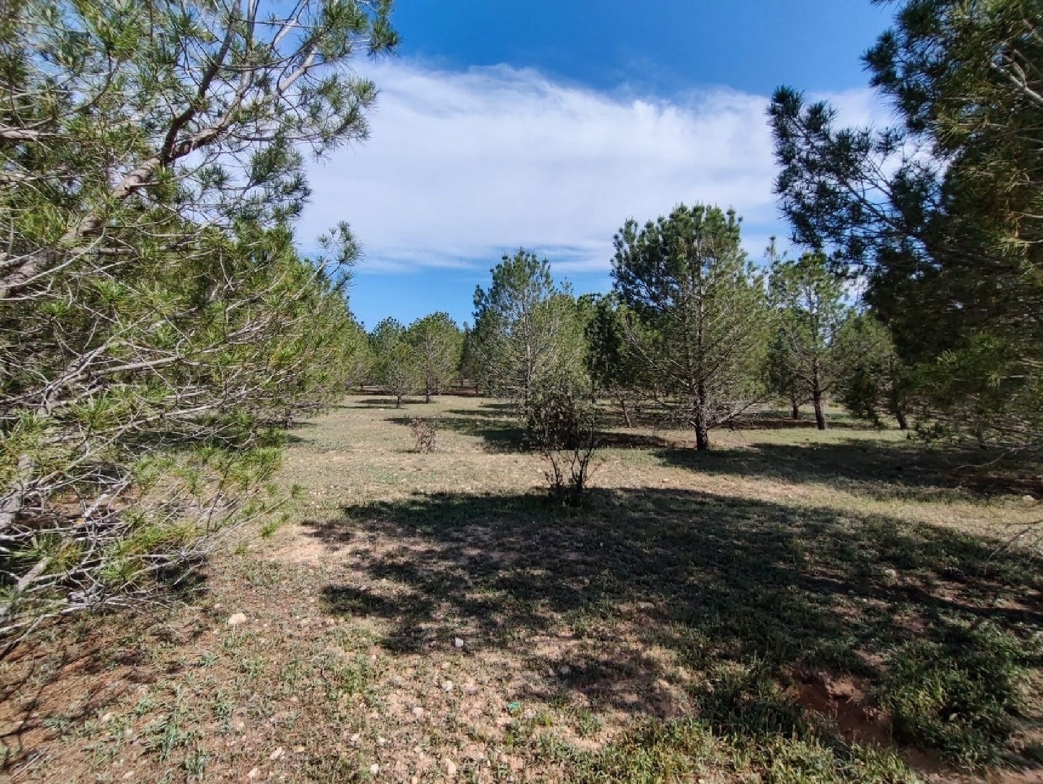  for sale country house Yecla Altiplano 4