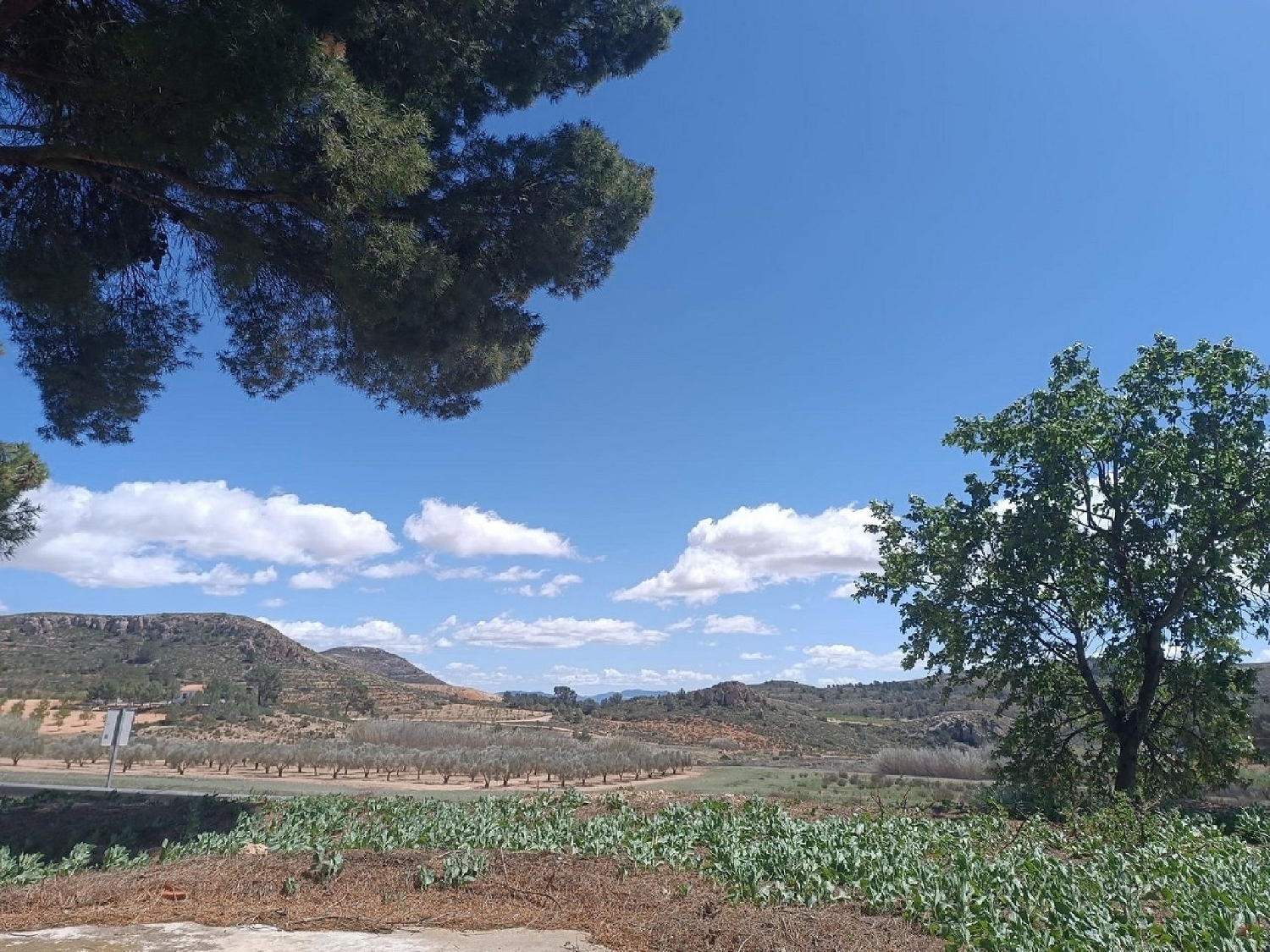  for sale country house Yecla Altiplano 3