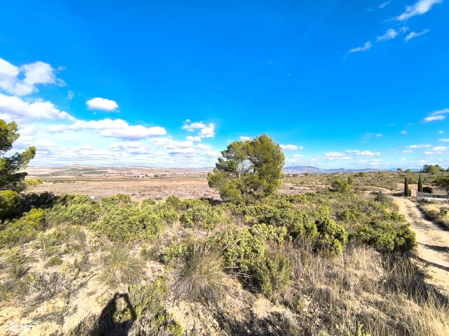  till salu hus på landet Yecla Altiplano 7