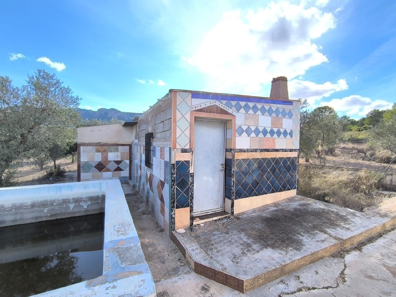  till salu hus på landet Yecla Altiplano 6