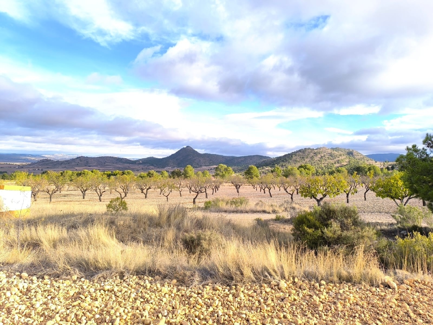 till salu hus på landet Yecla Altiplano 7