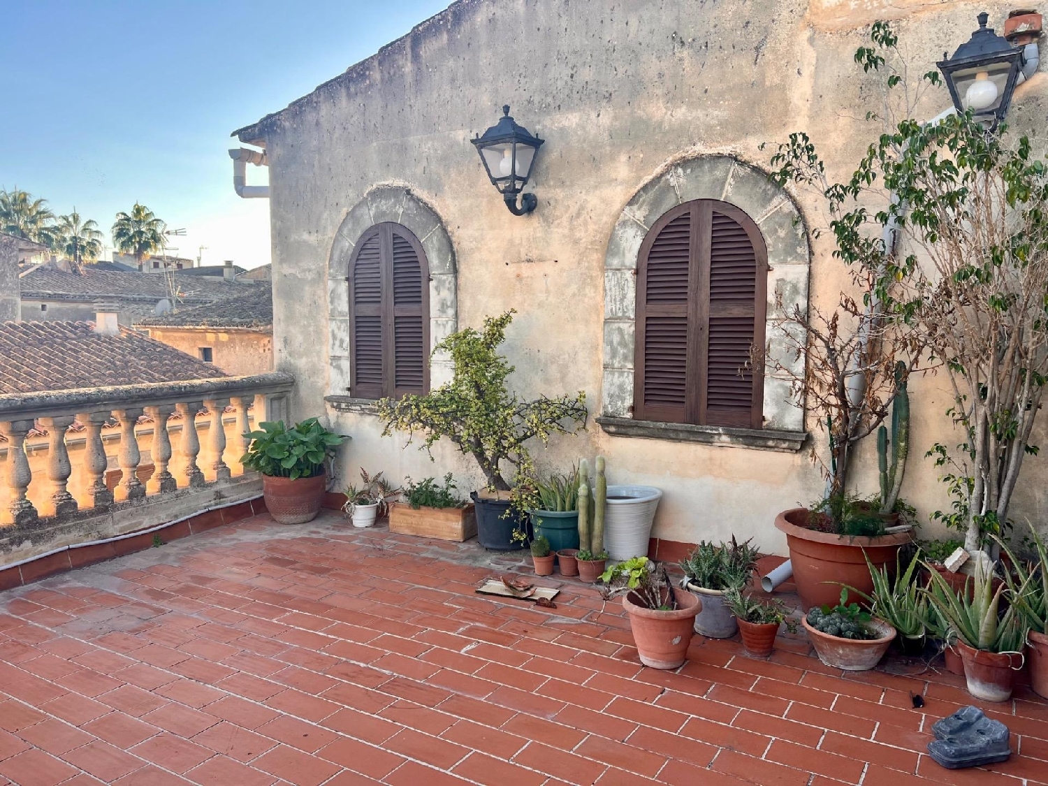  for sale duplex Petra Pla (Es) 4