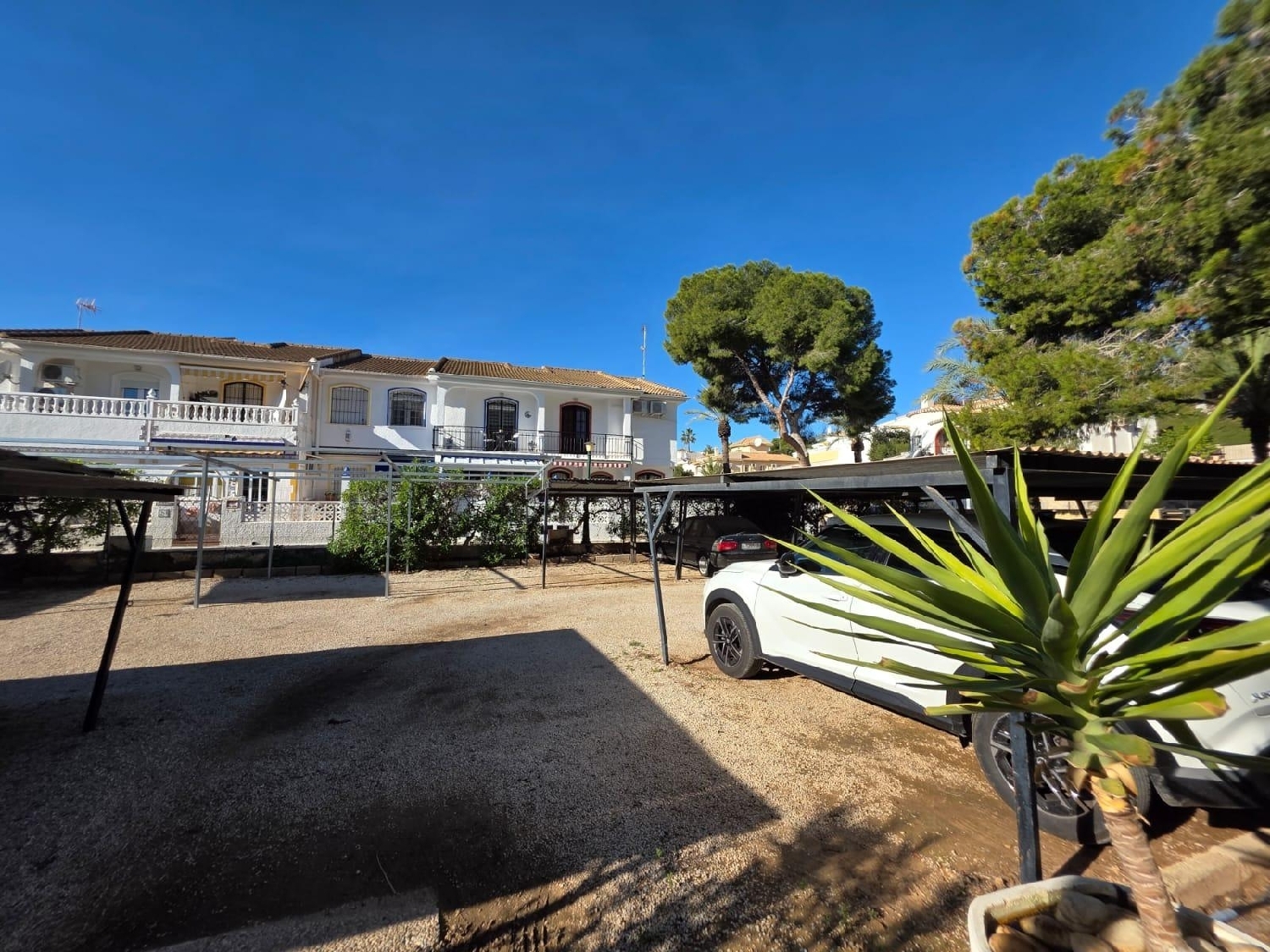 for sale ground floor Orihuela Costa Baix Segura 6