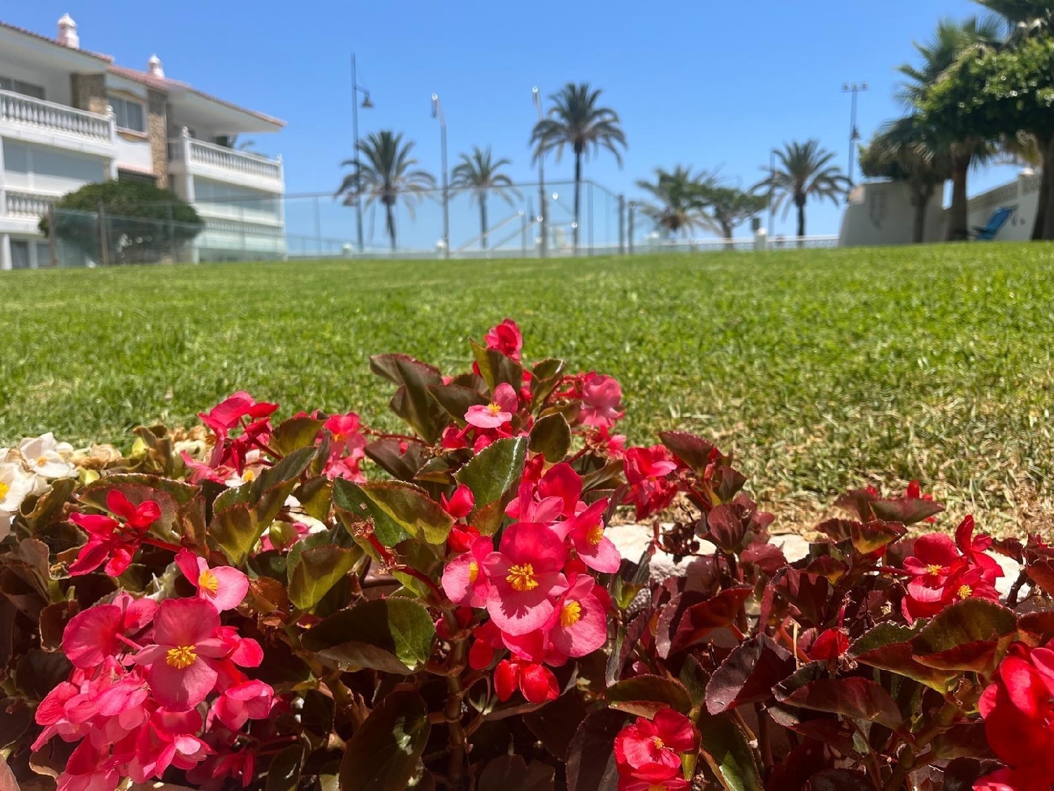  till salu bottenvåning Torremolinos Costa Del Sol Occidental 3