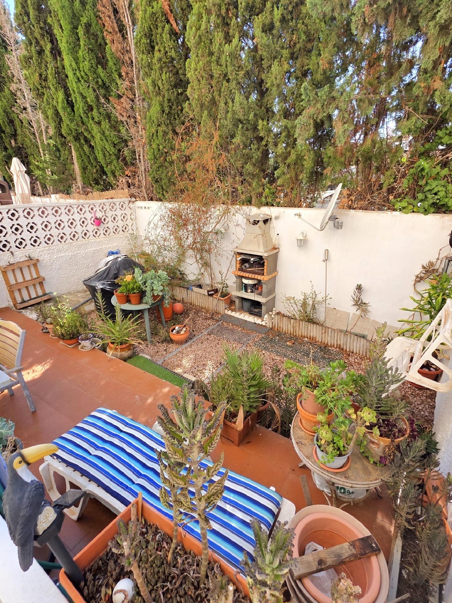  kaufen Erdgeschoss Torrevieja Baix Segura 3