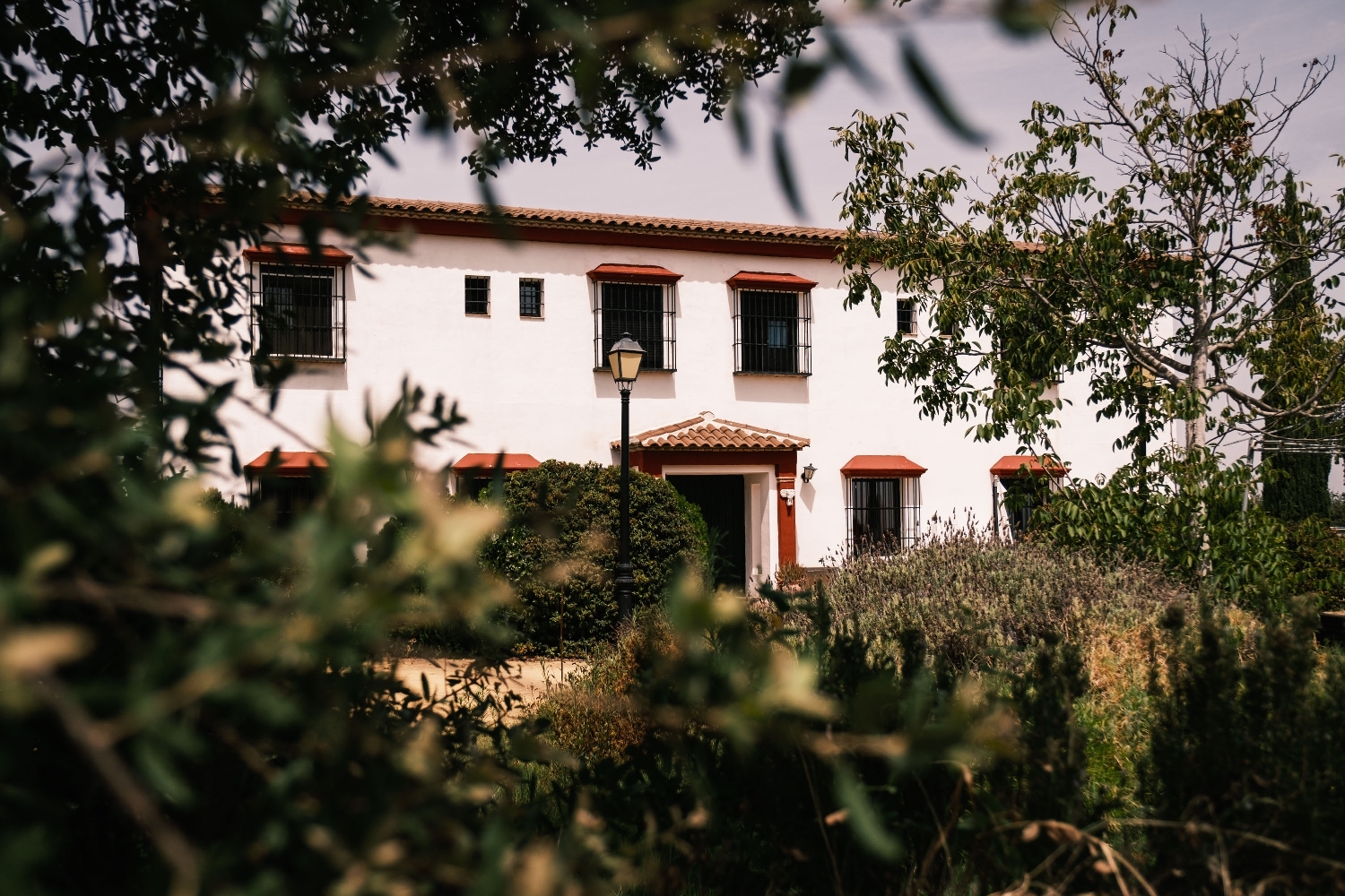  for sale hotel El Ronquillo Sierra Norte 4