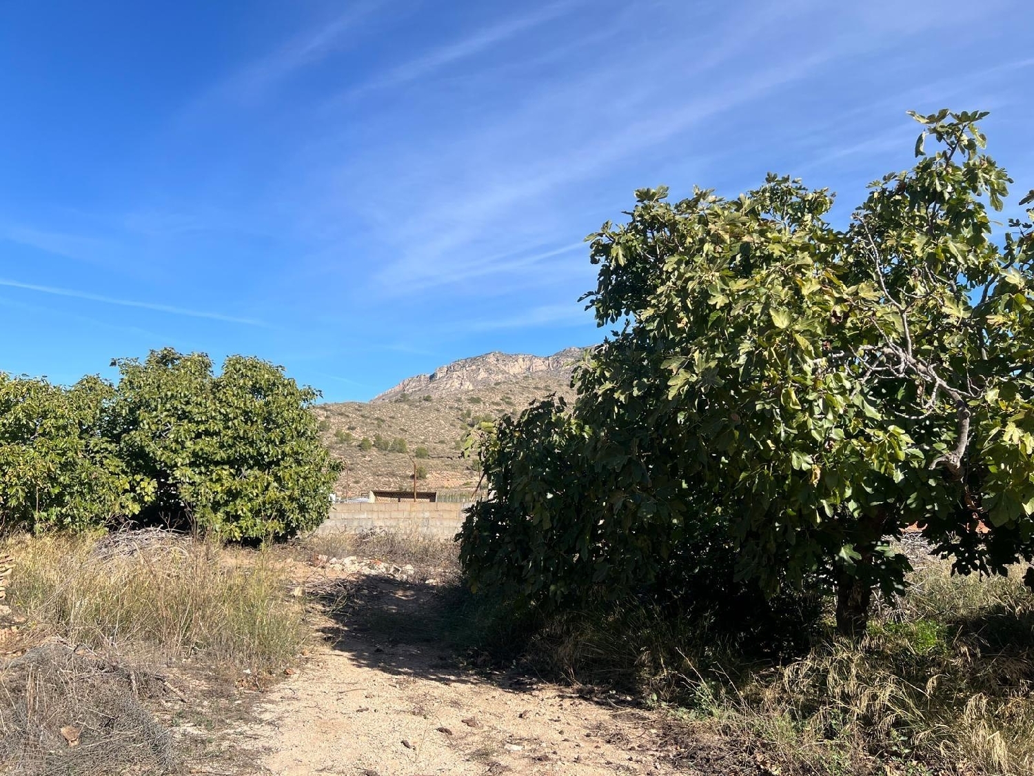 à vendre maison Abanillas Costa Occidental 6