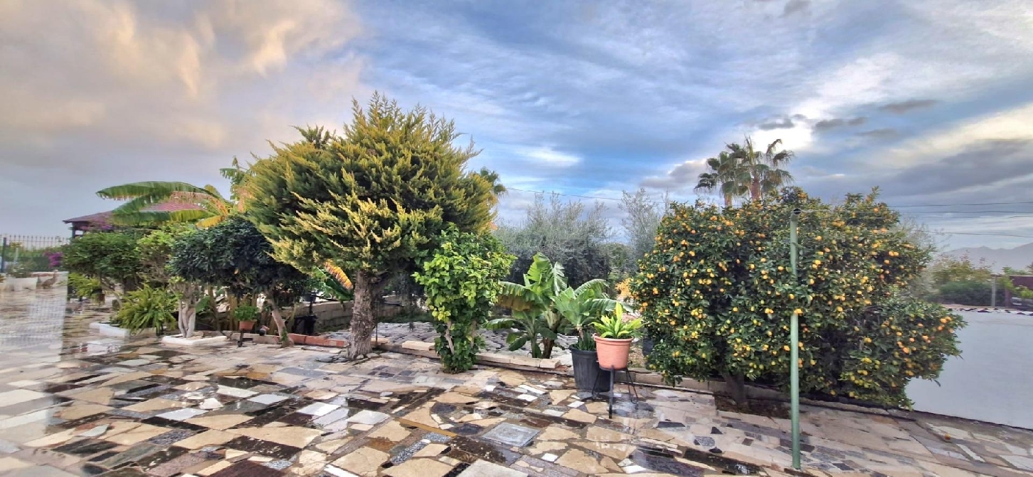  for sale house Albatera Baix Segura 4