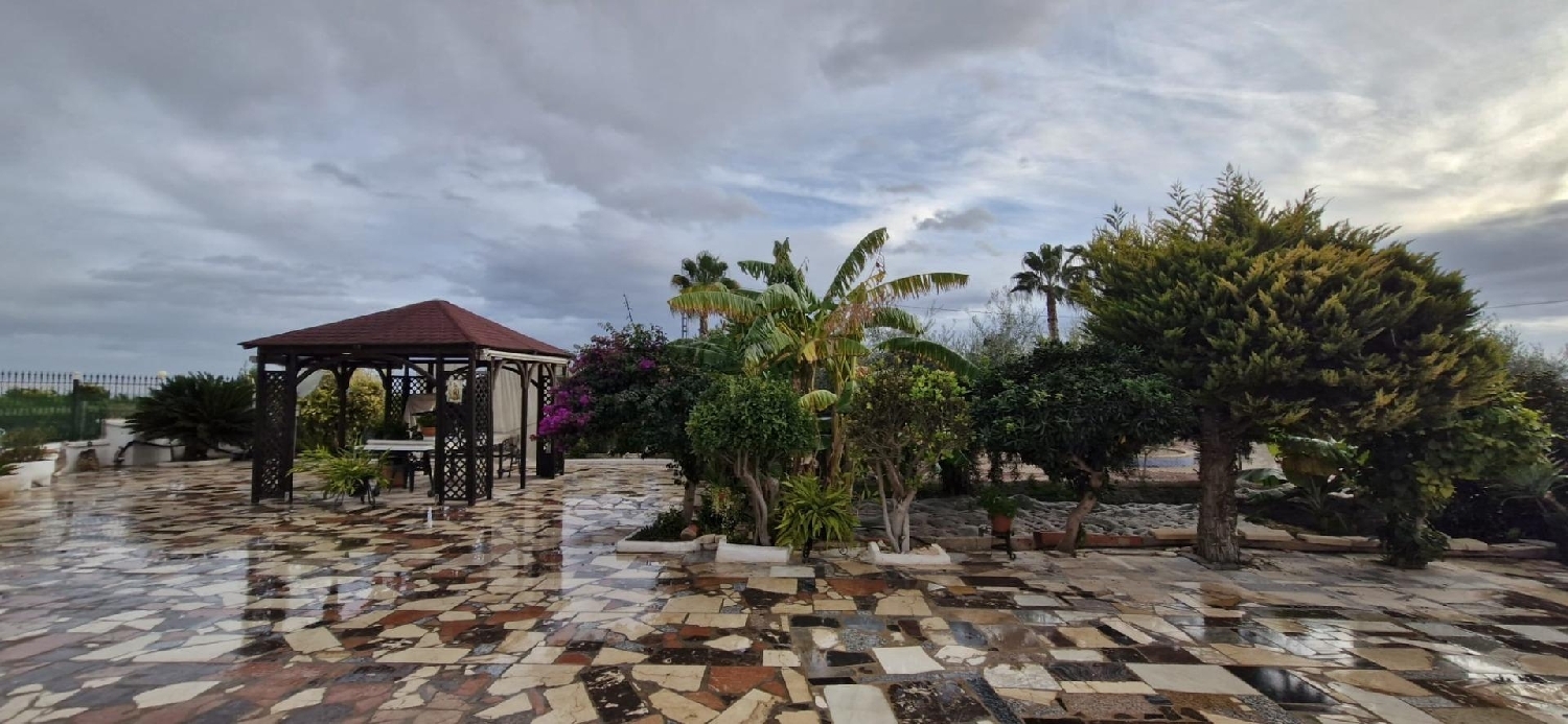  for sale house Albatera Baix Segura 3