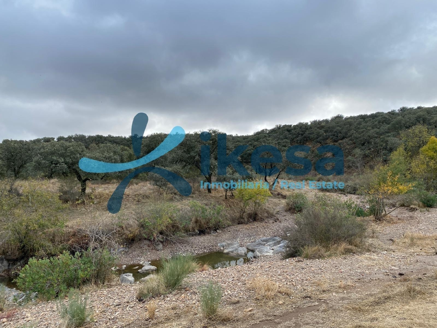 kaufen Haus Alcaracejos Pedroches (Los) 3