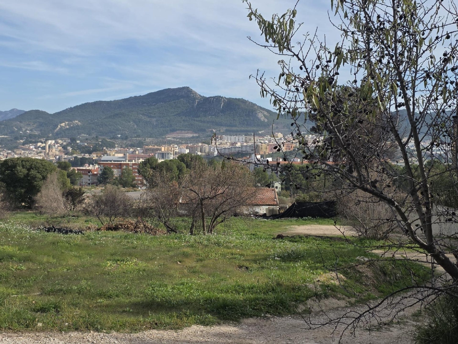  à vendre maison Alcoi 03803 Alcoia 4